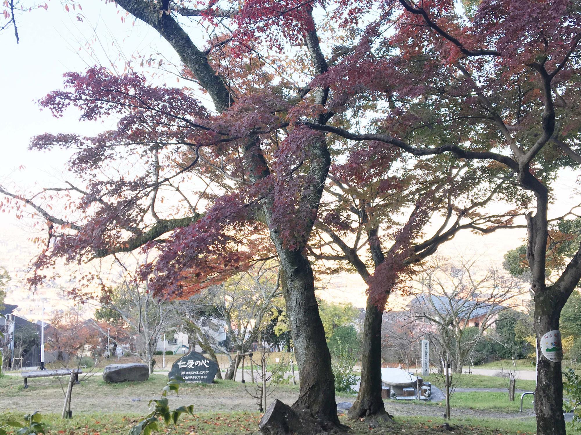 枚岡梅林