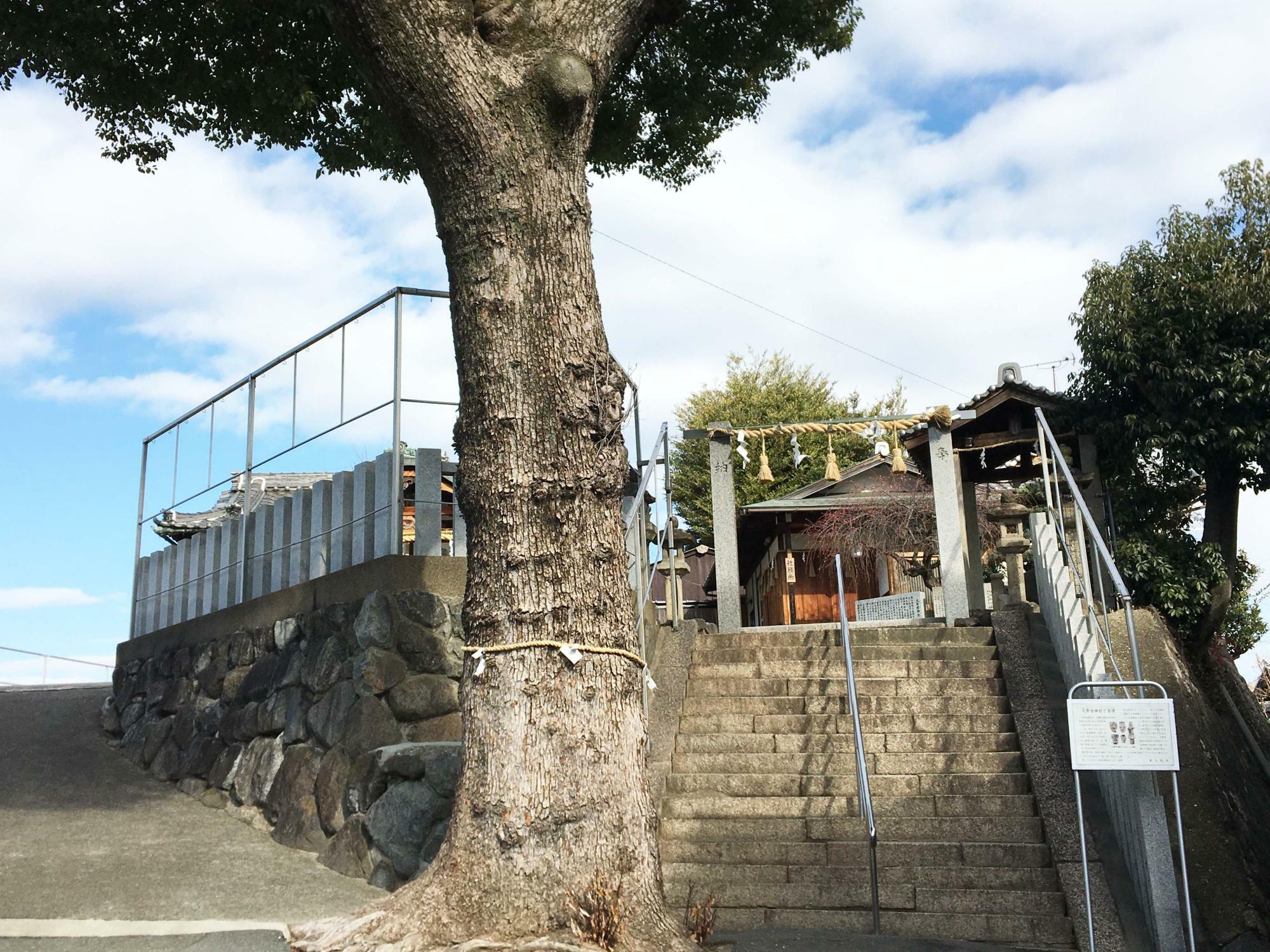 大賀世神社入り口