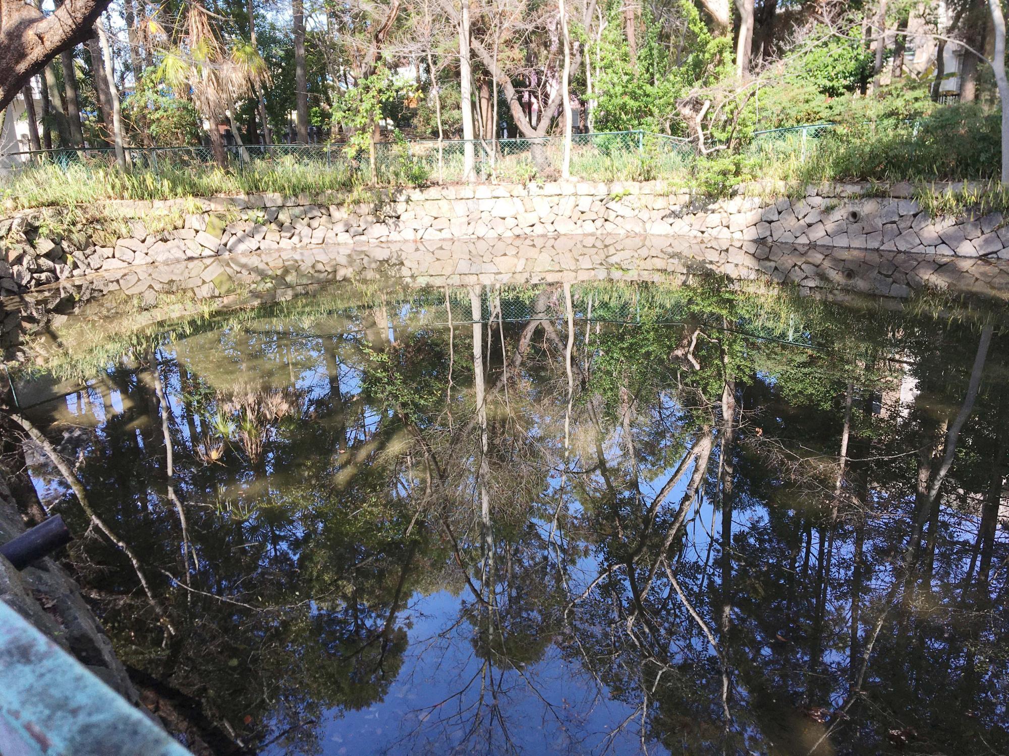 津原池