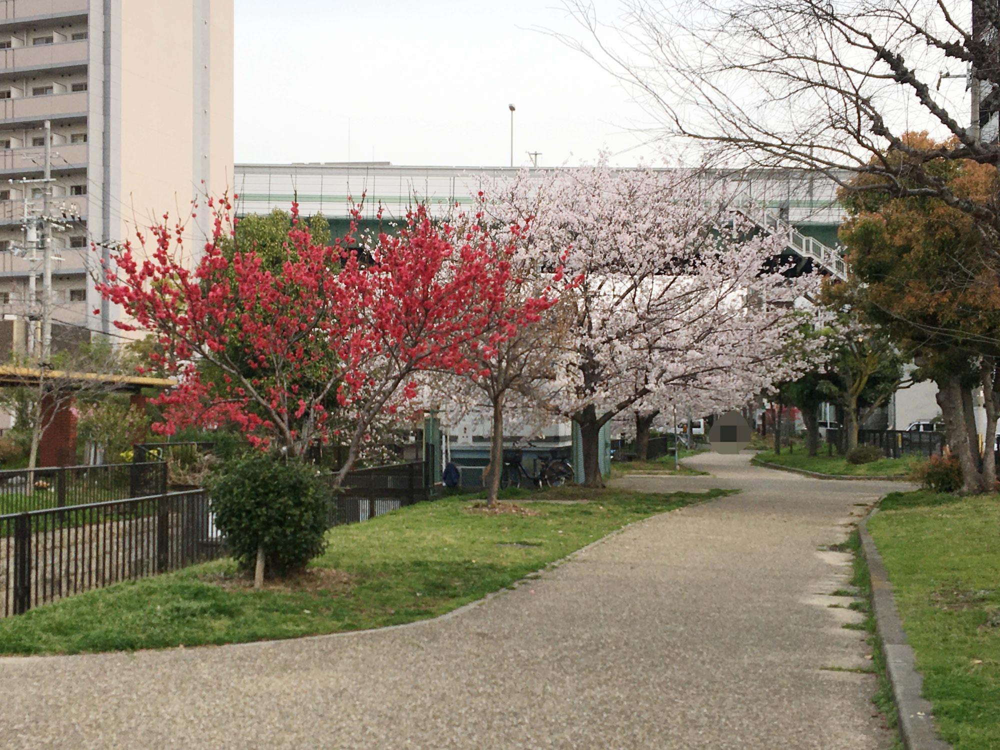 長瀬川