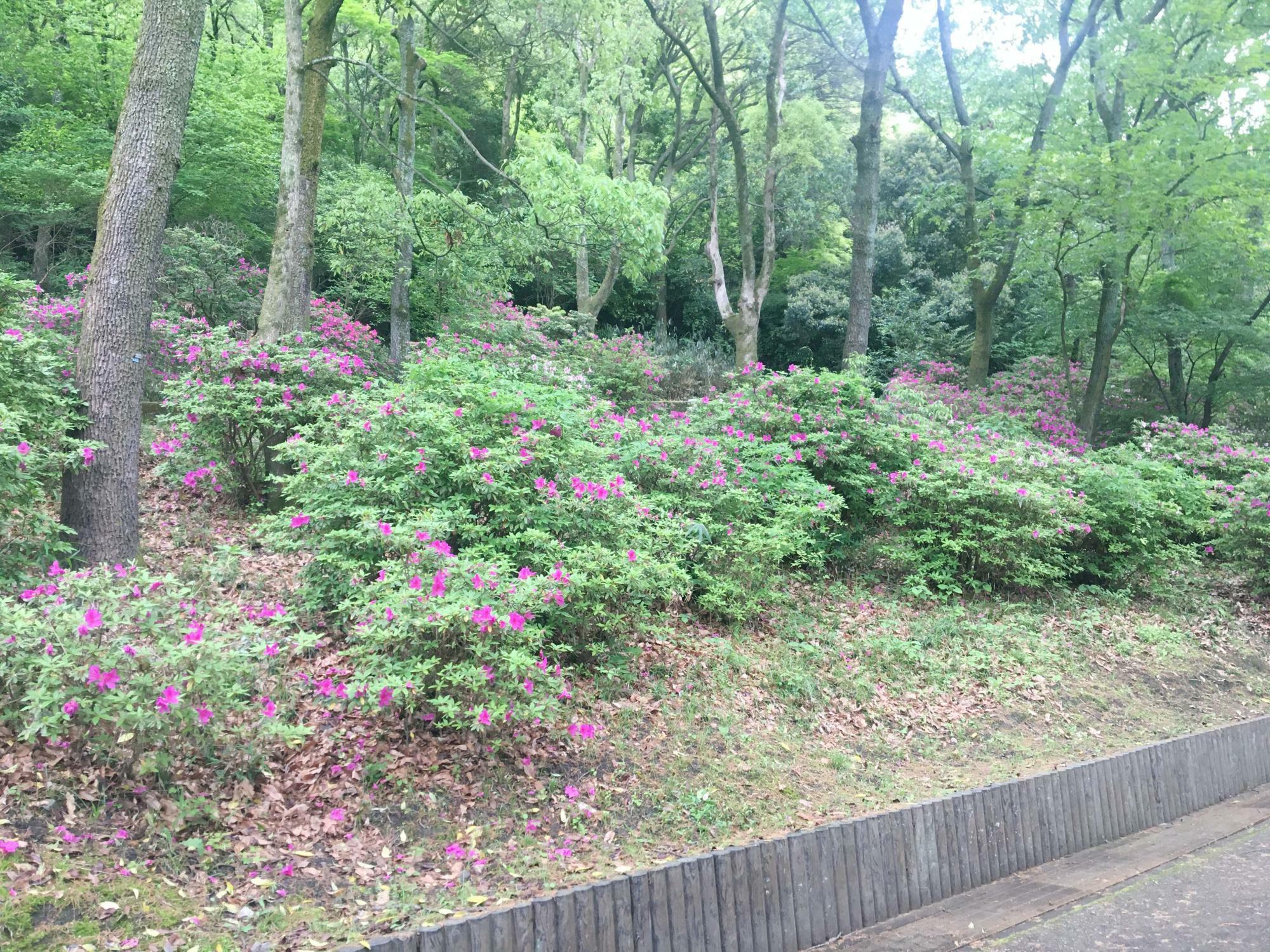 枚岡公園