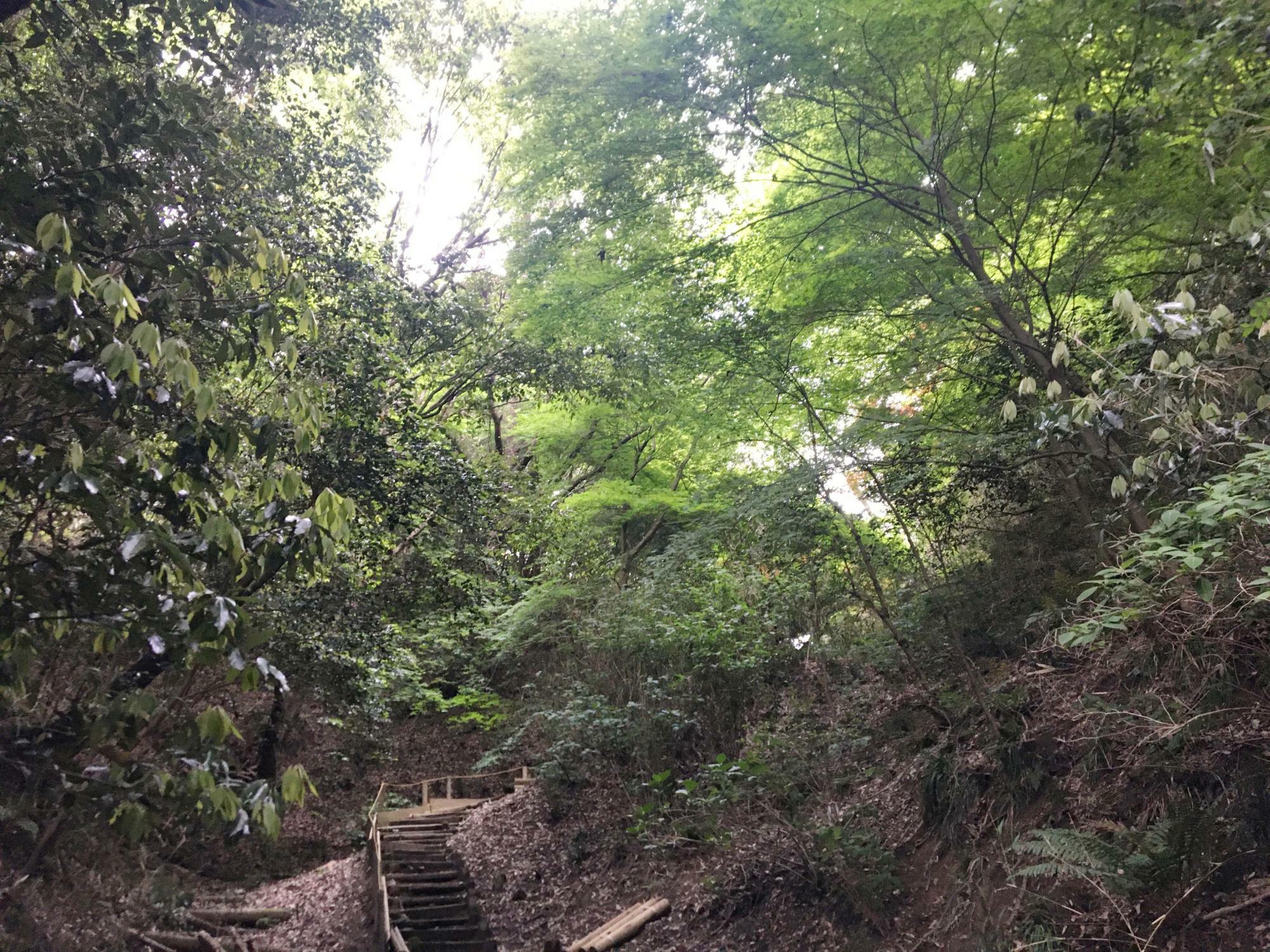 鳴川峠