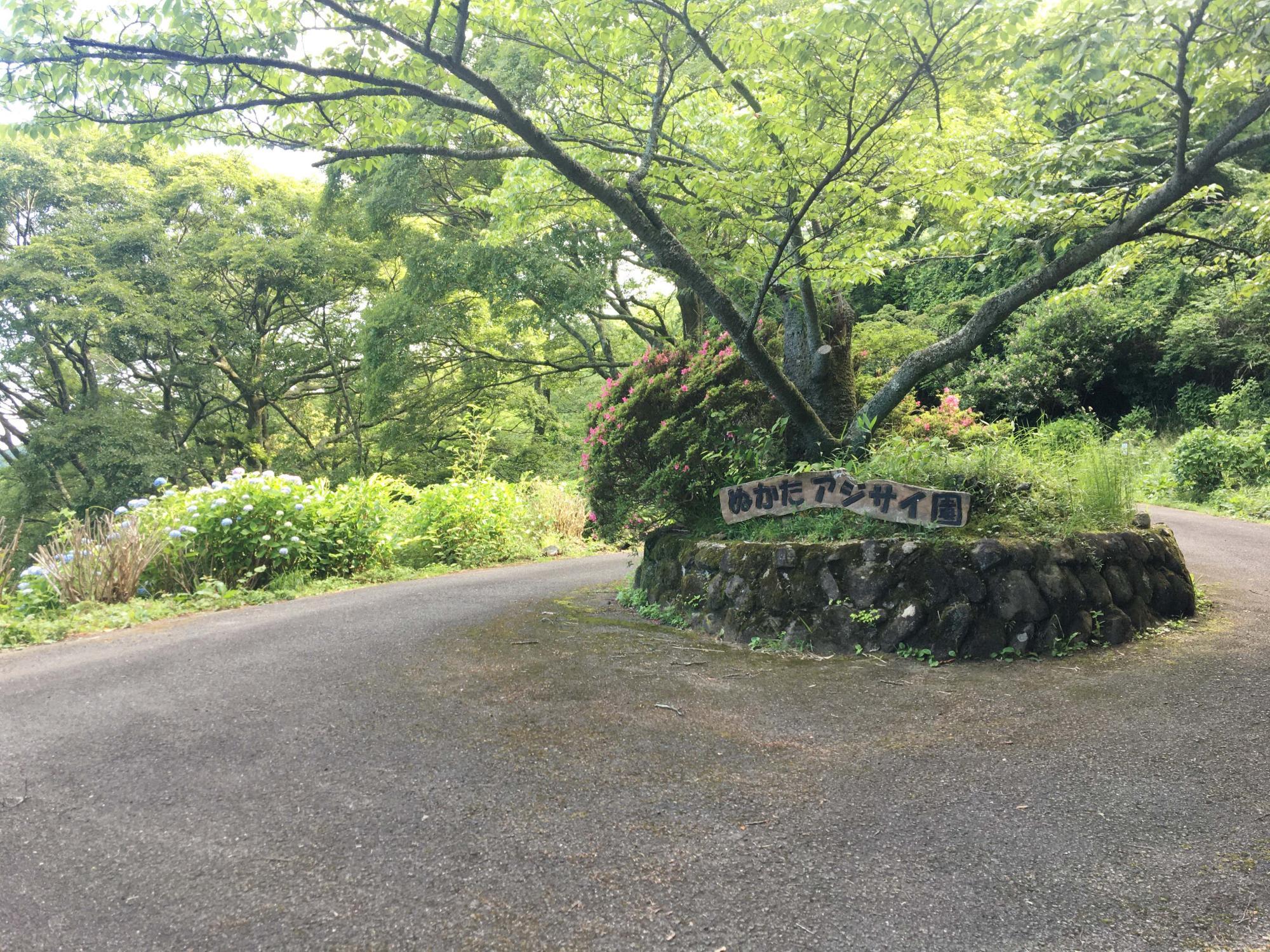 ぬかたアジサイ園