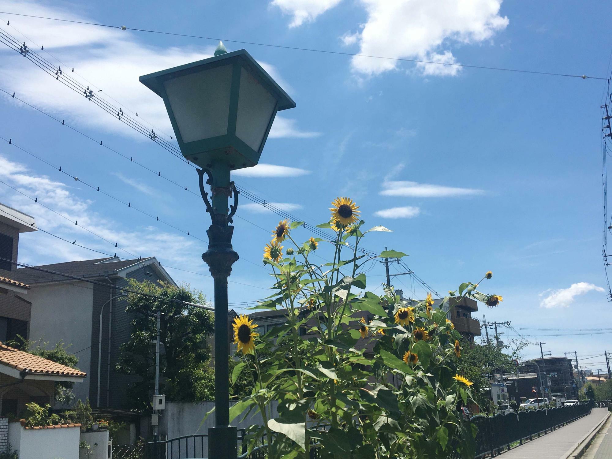 長瀬川歴史街道