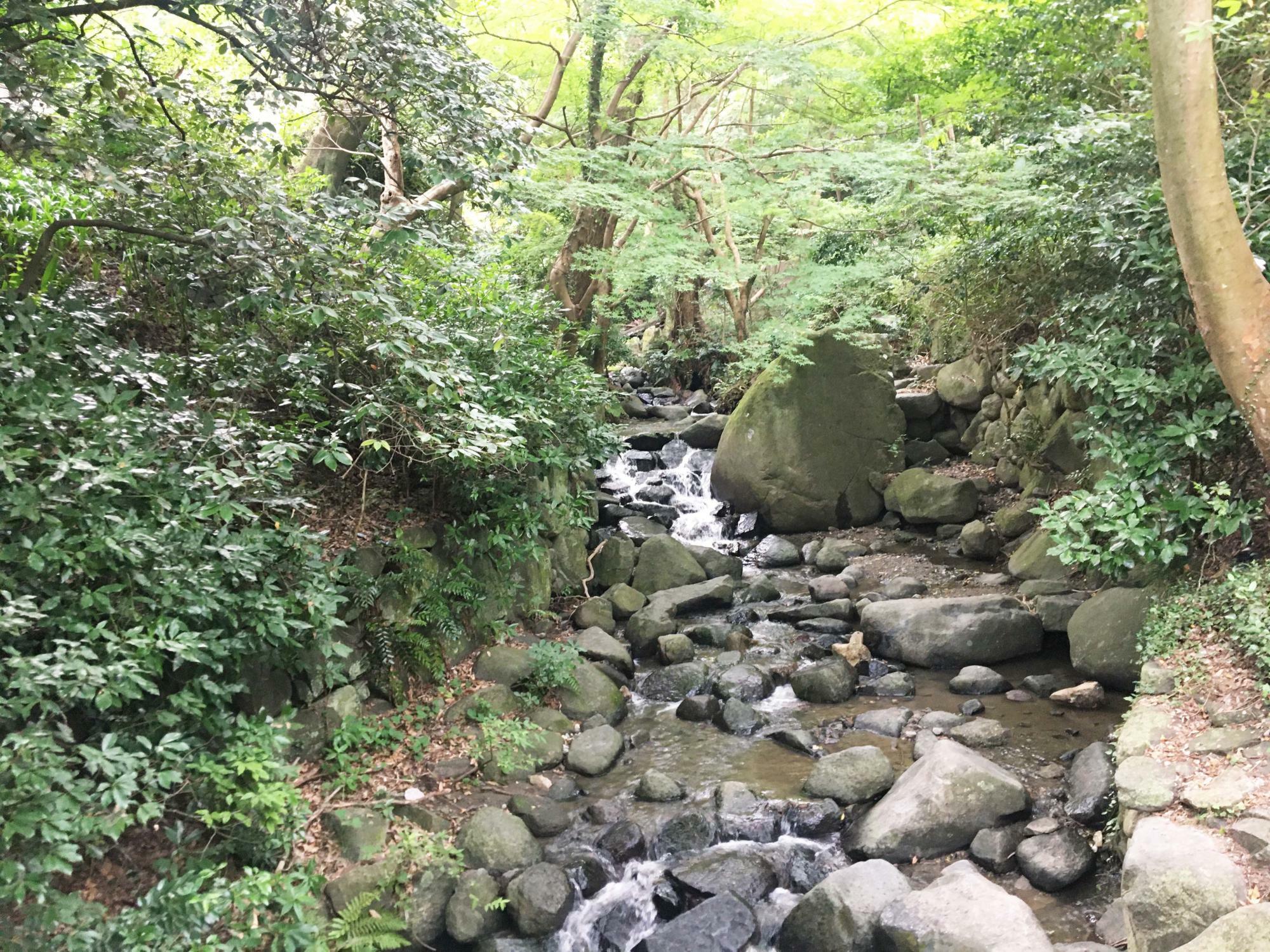 椋ヶ根橋からの眺め