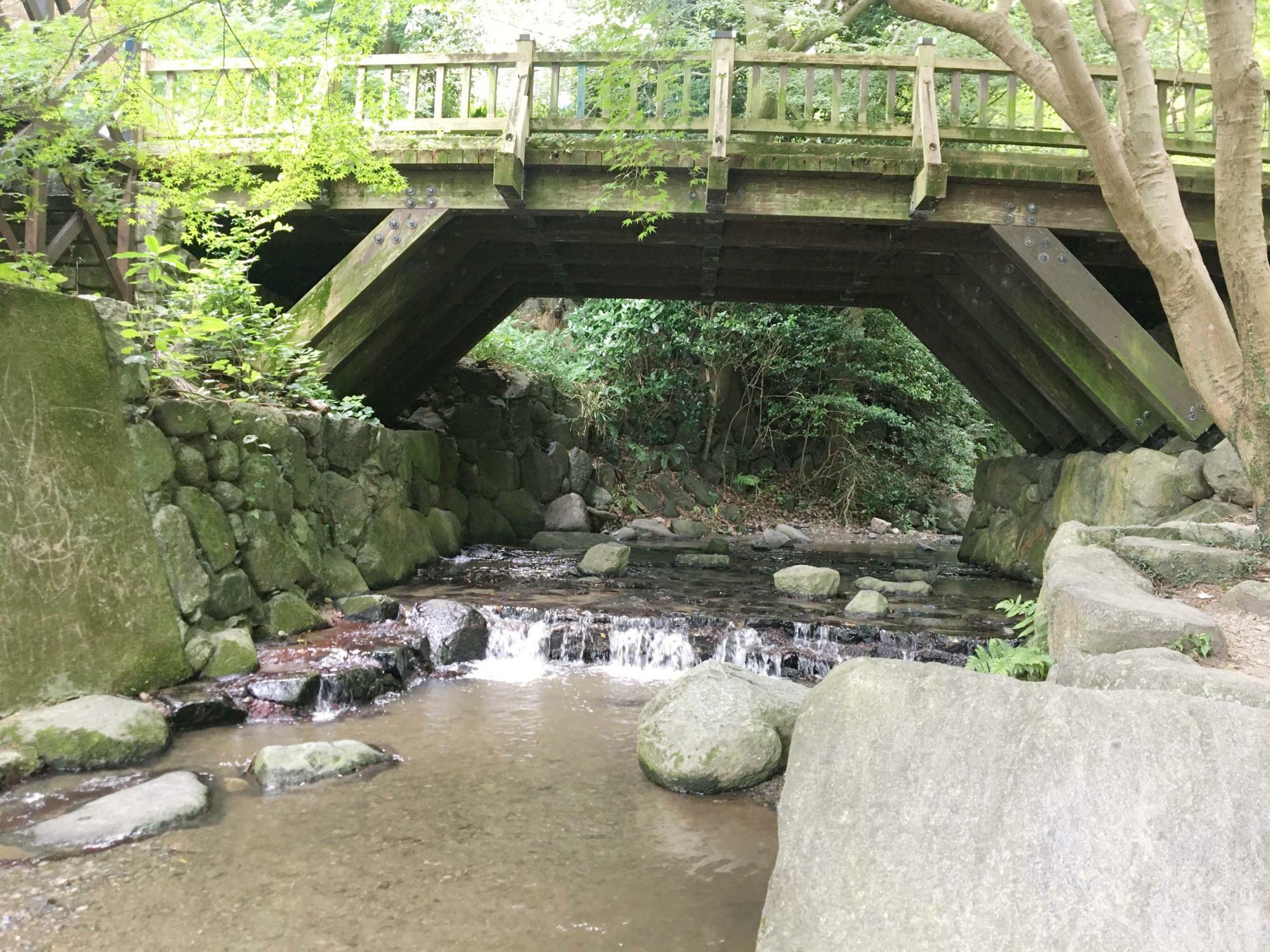 椋ヶ根橋　麓