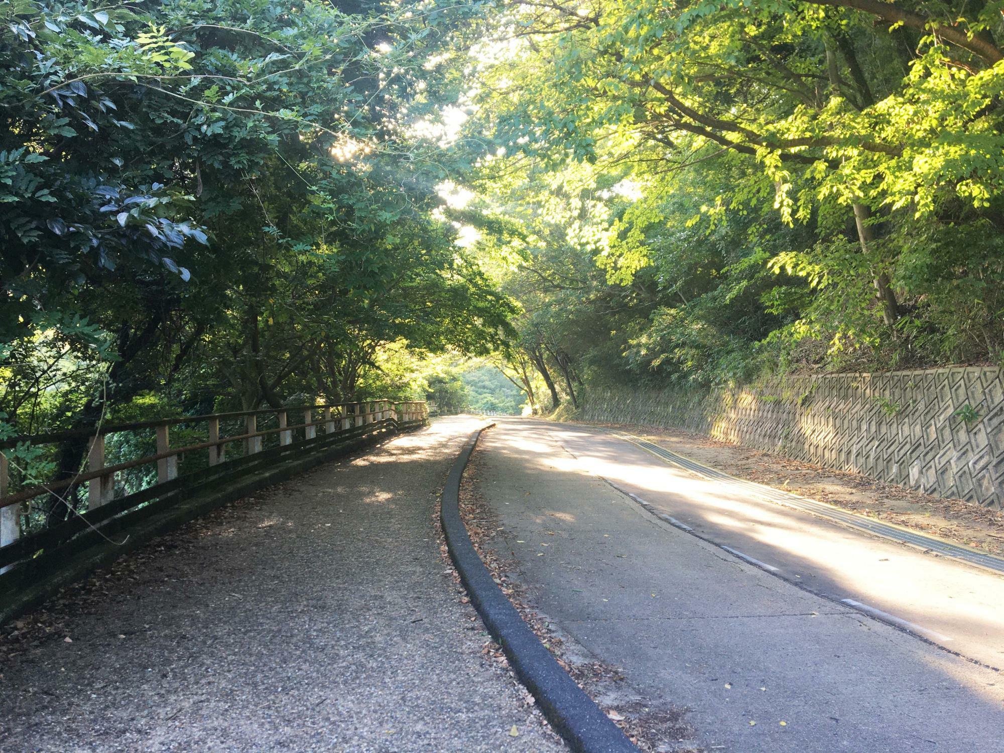 らくらく登山道