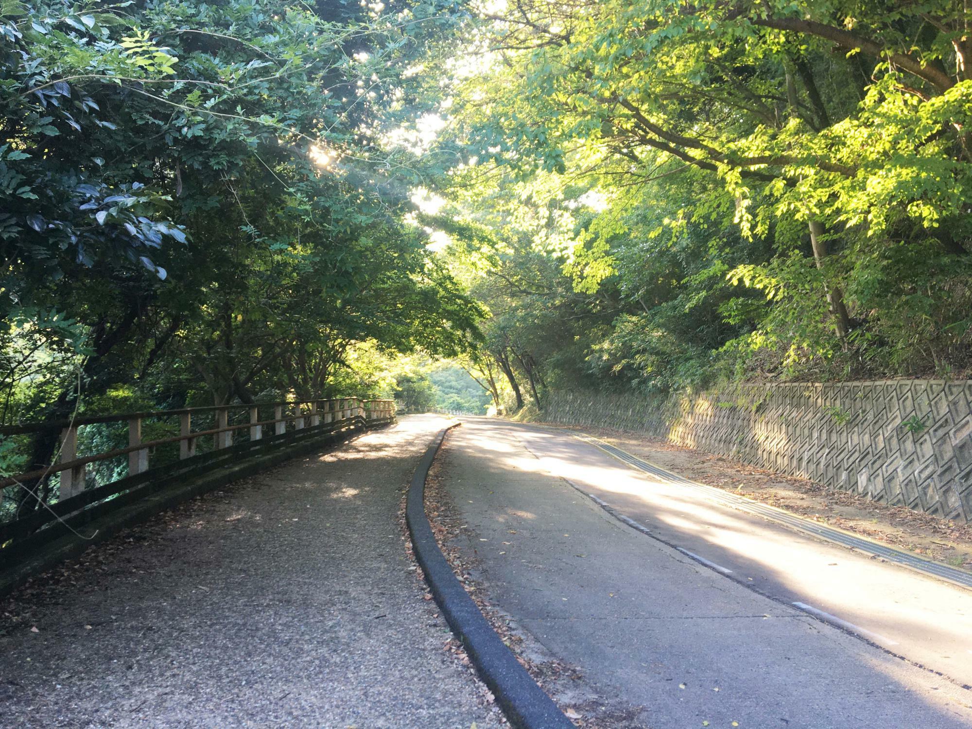 らくらく登山道