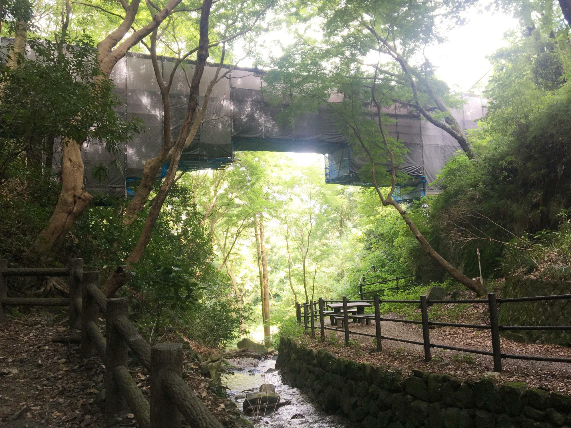 豊浦橋の眺め