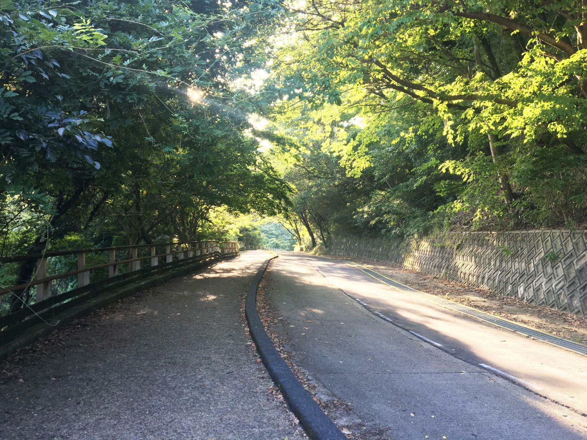 らくらく登山道