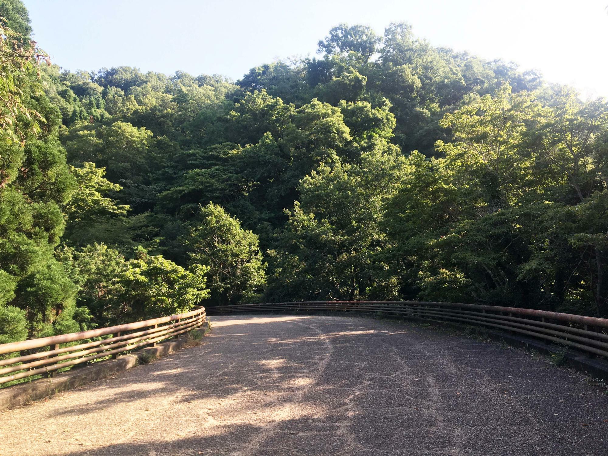 らくらく登山道