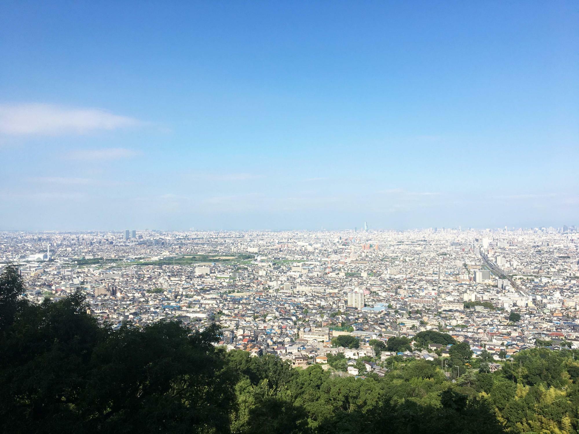 らくらく登山道