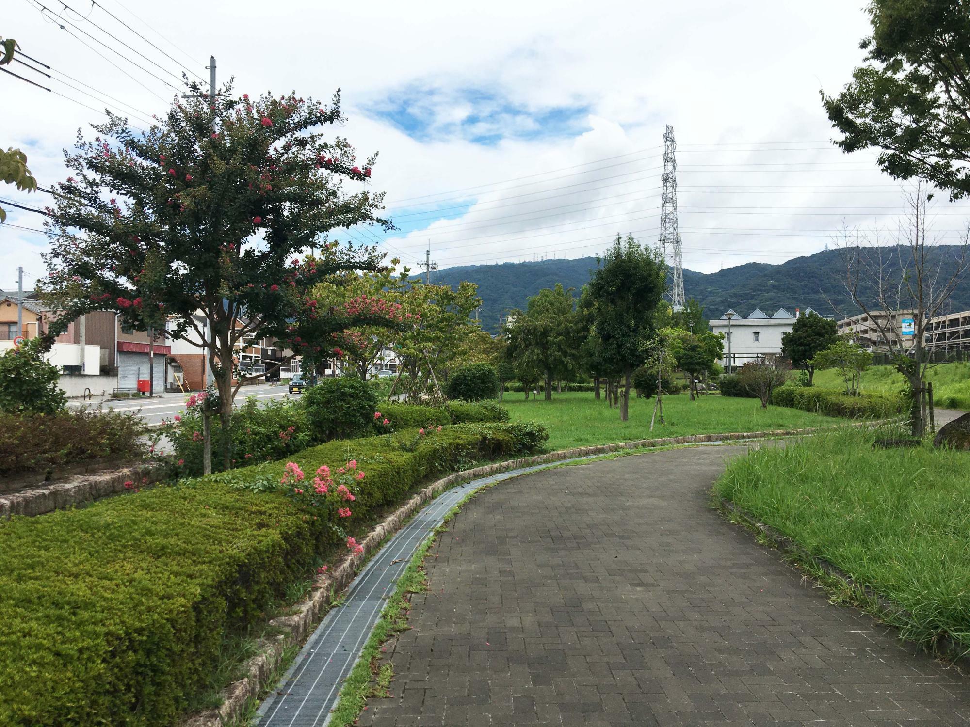 花園中央公園　北側入口