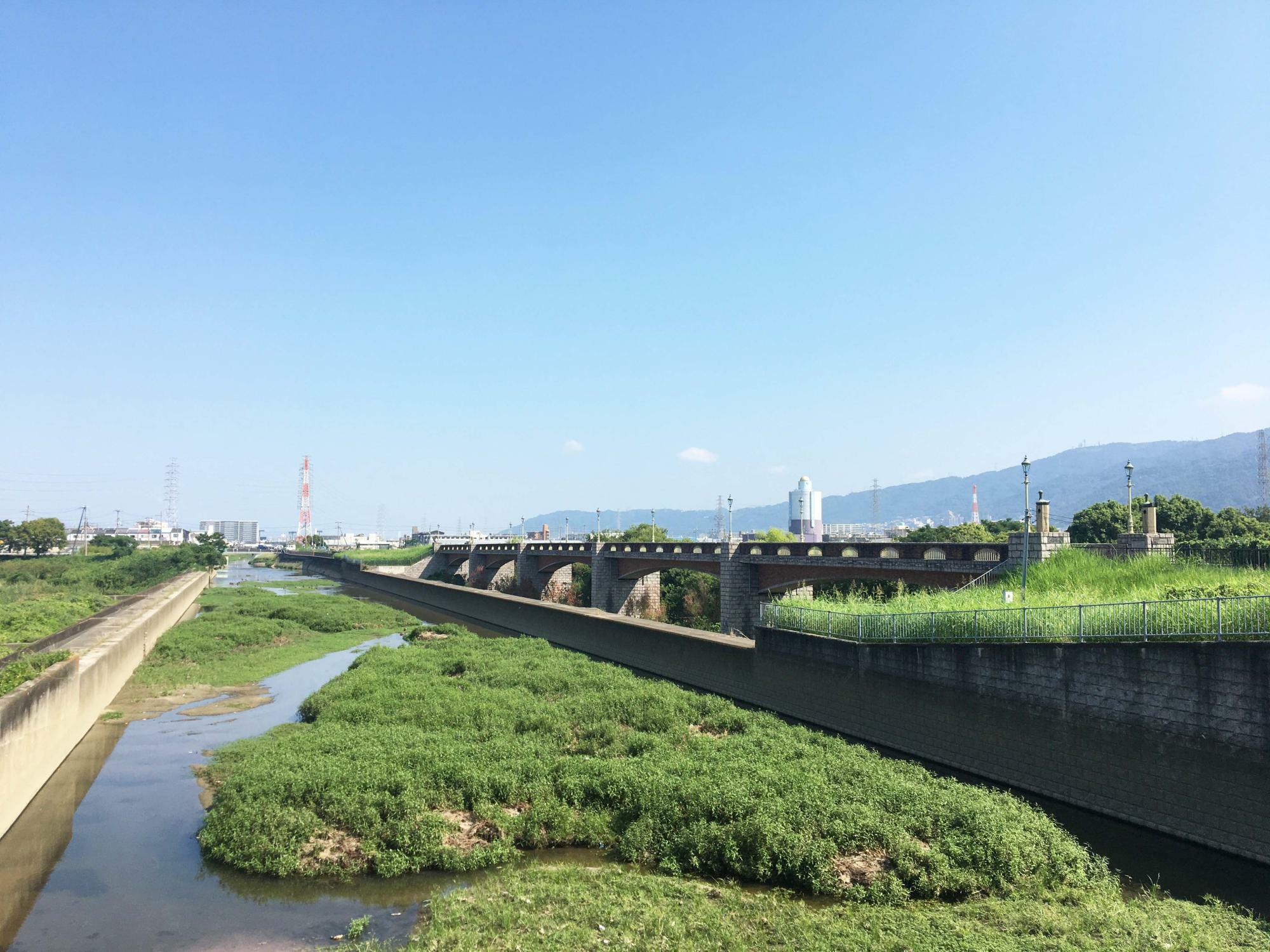 恩智川治水緑地