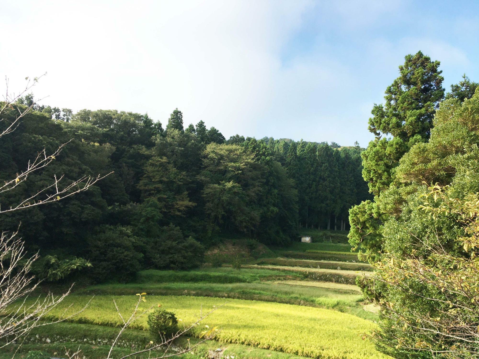 暗峠