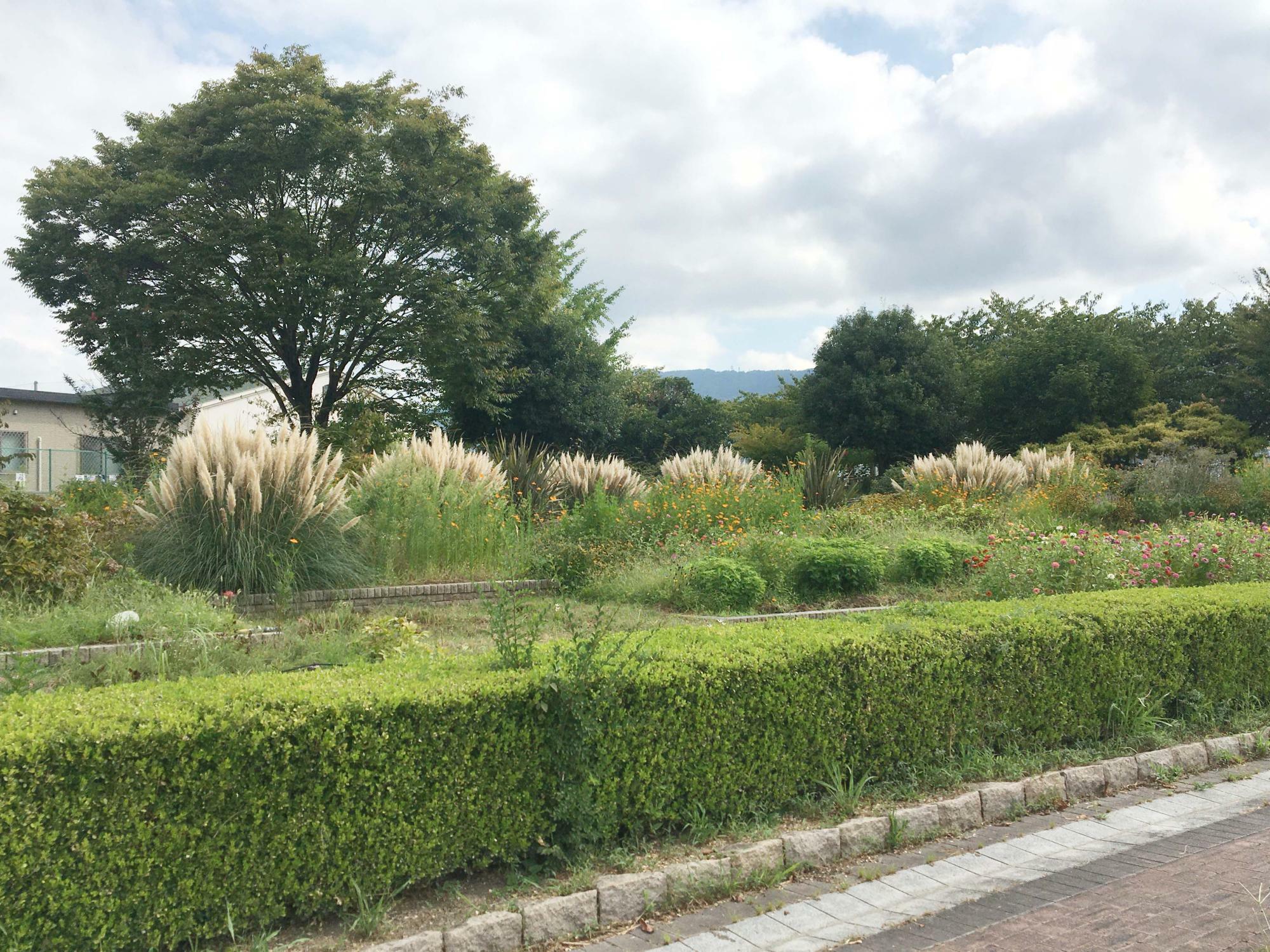 花園中央公園