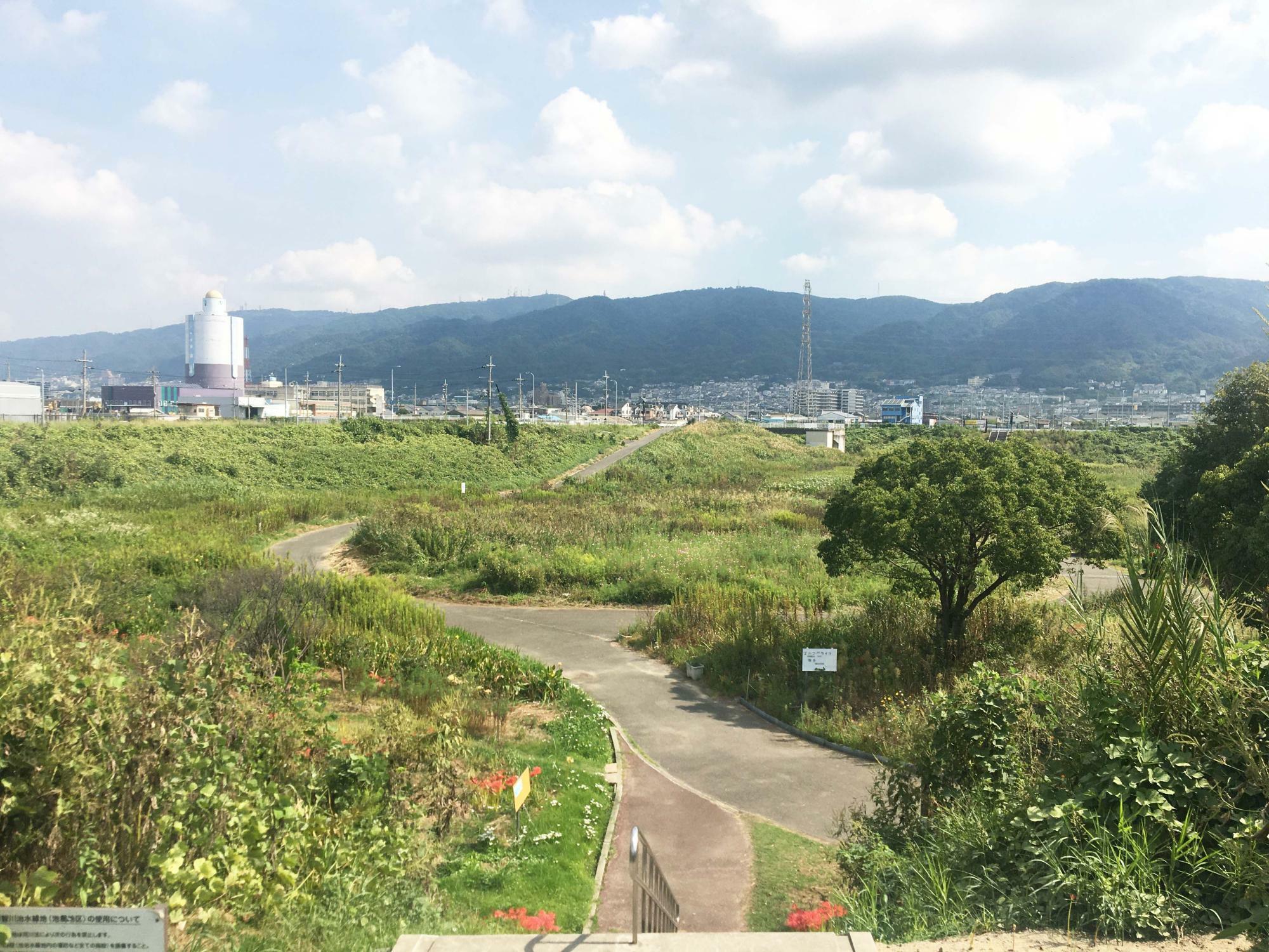 恩智川治水緑地