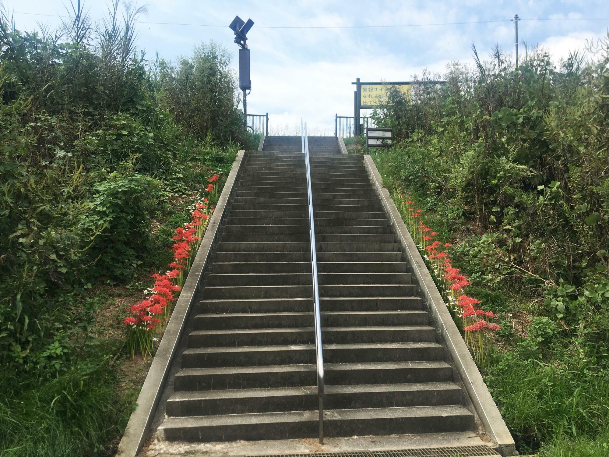 恩智川治水緑地