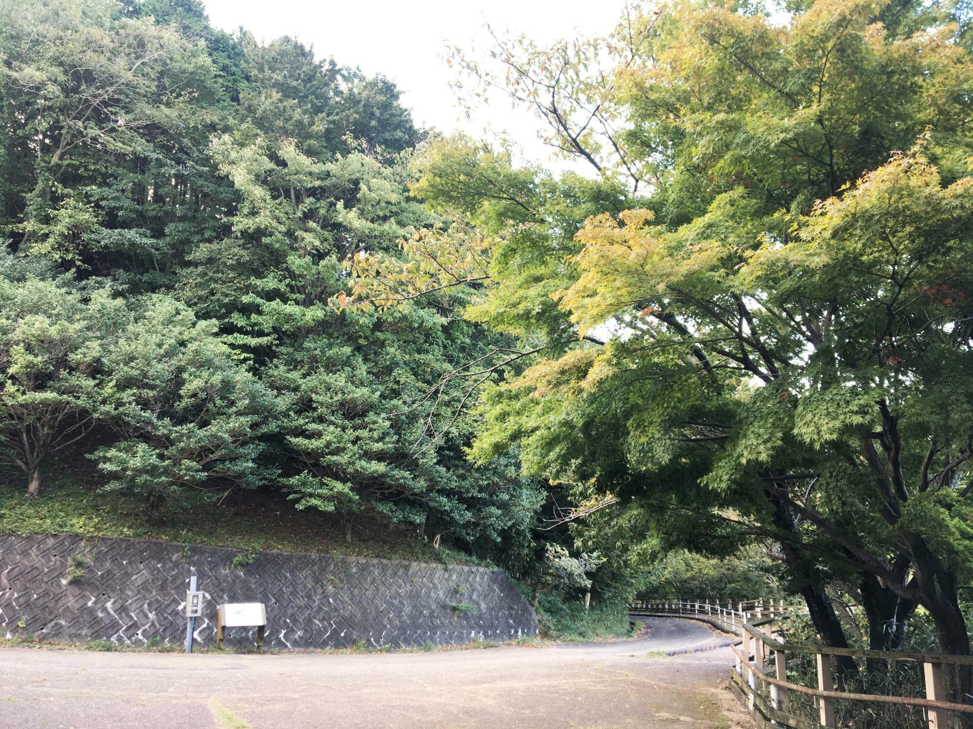 らくらく登山道　入り口