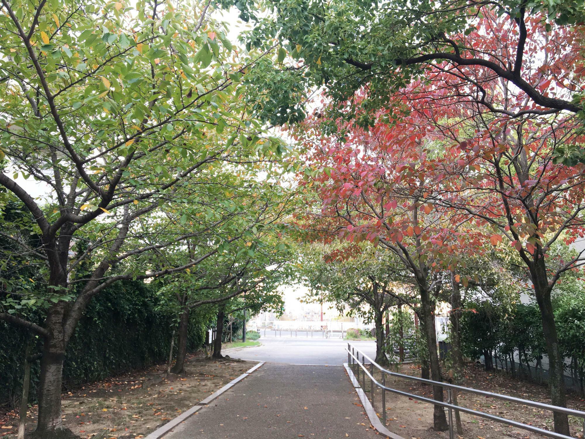 東石切公園