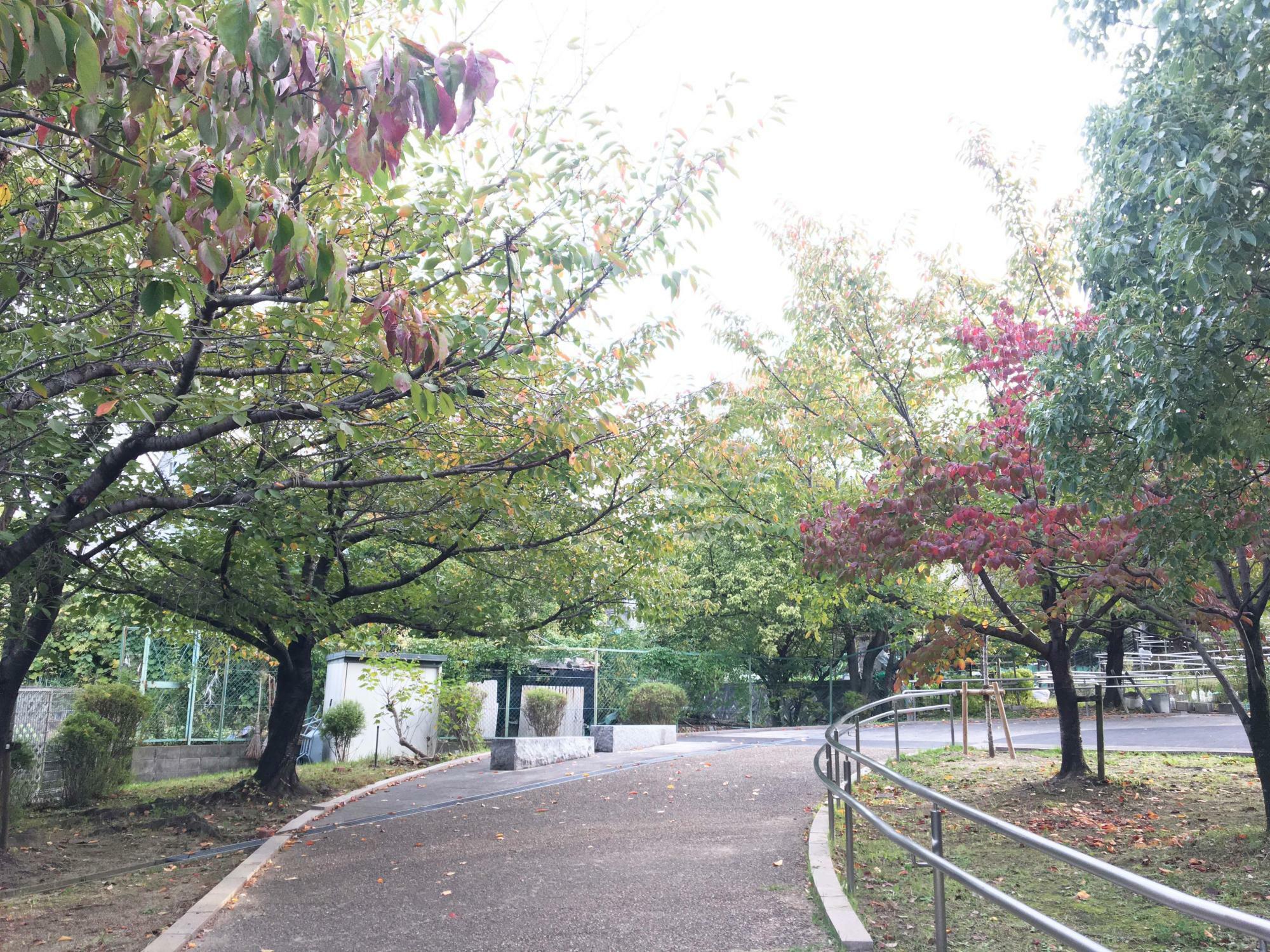 東石切公園