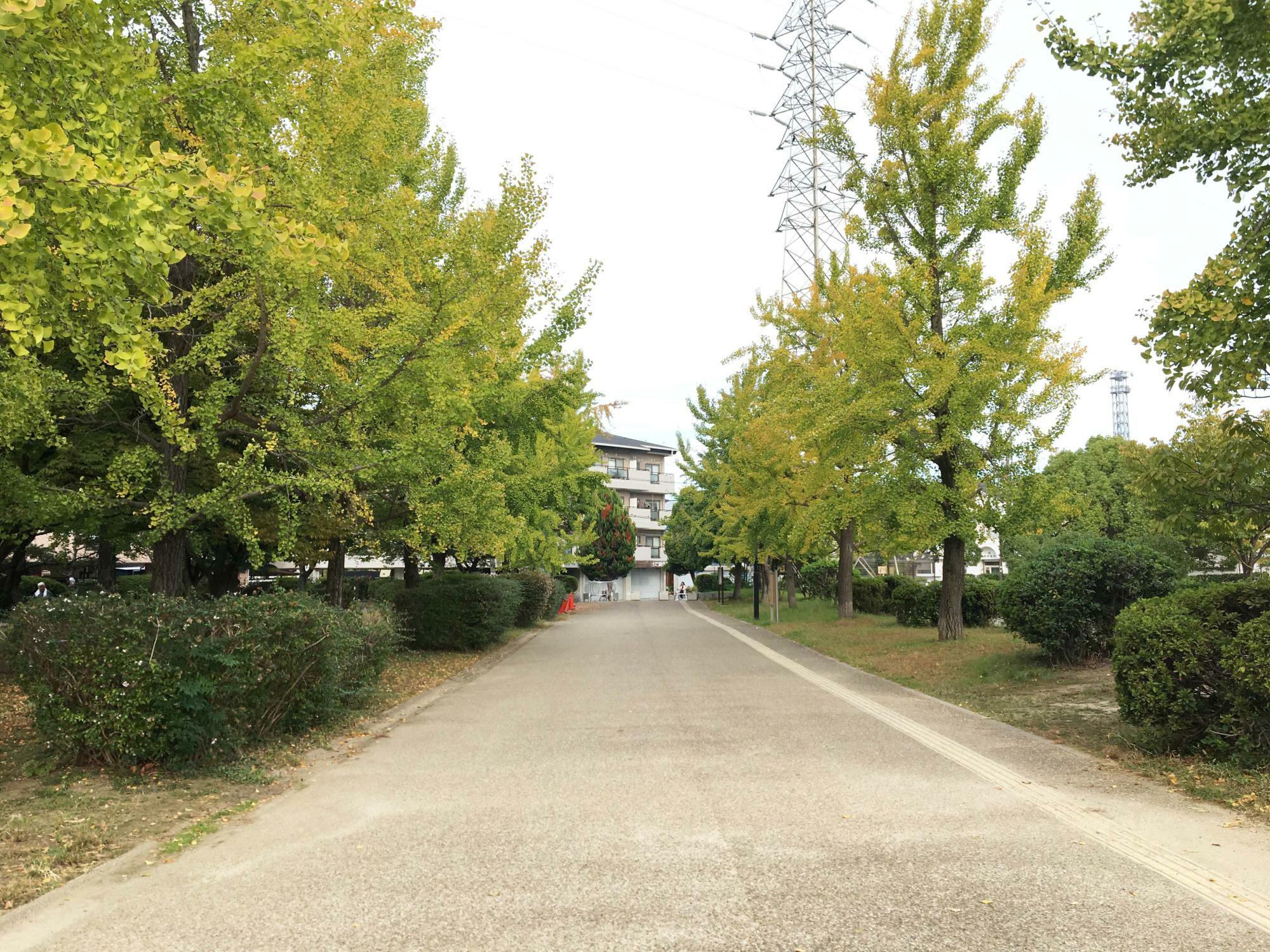 八戸の里公園