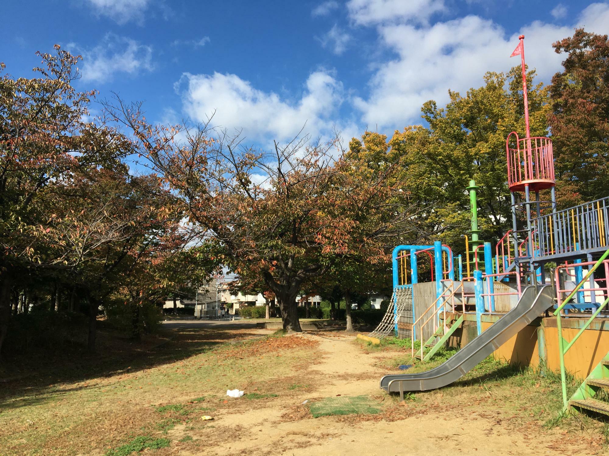 桜の紅葉