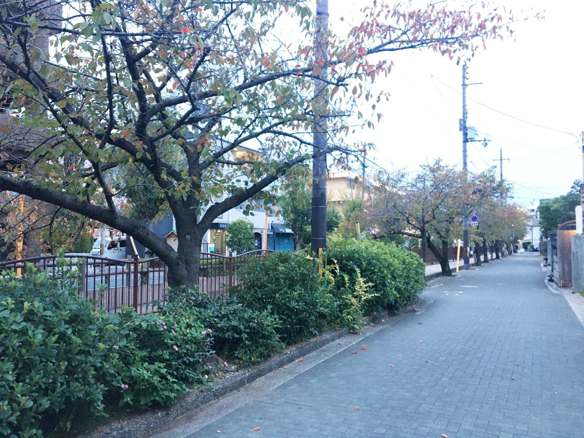 長瀬川　歴史街道