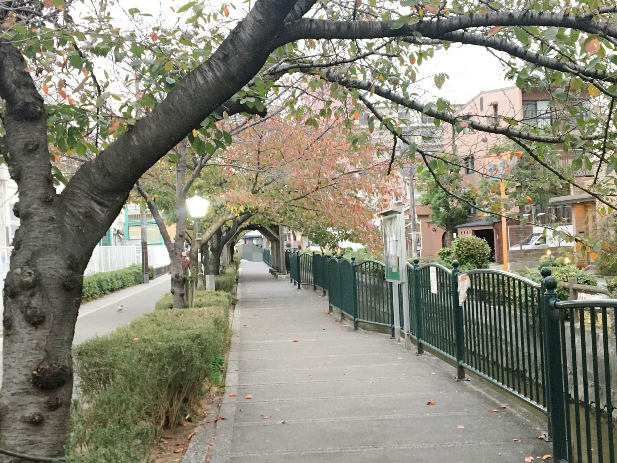 長瀬川　歴史街道