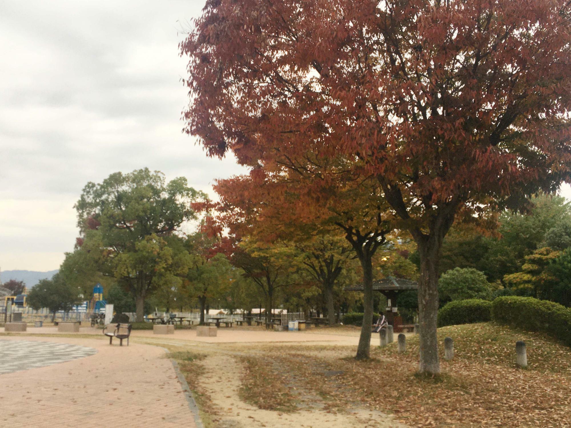 花園中央公園