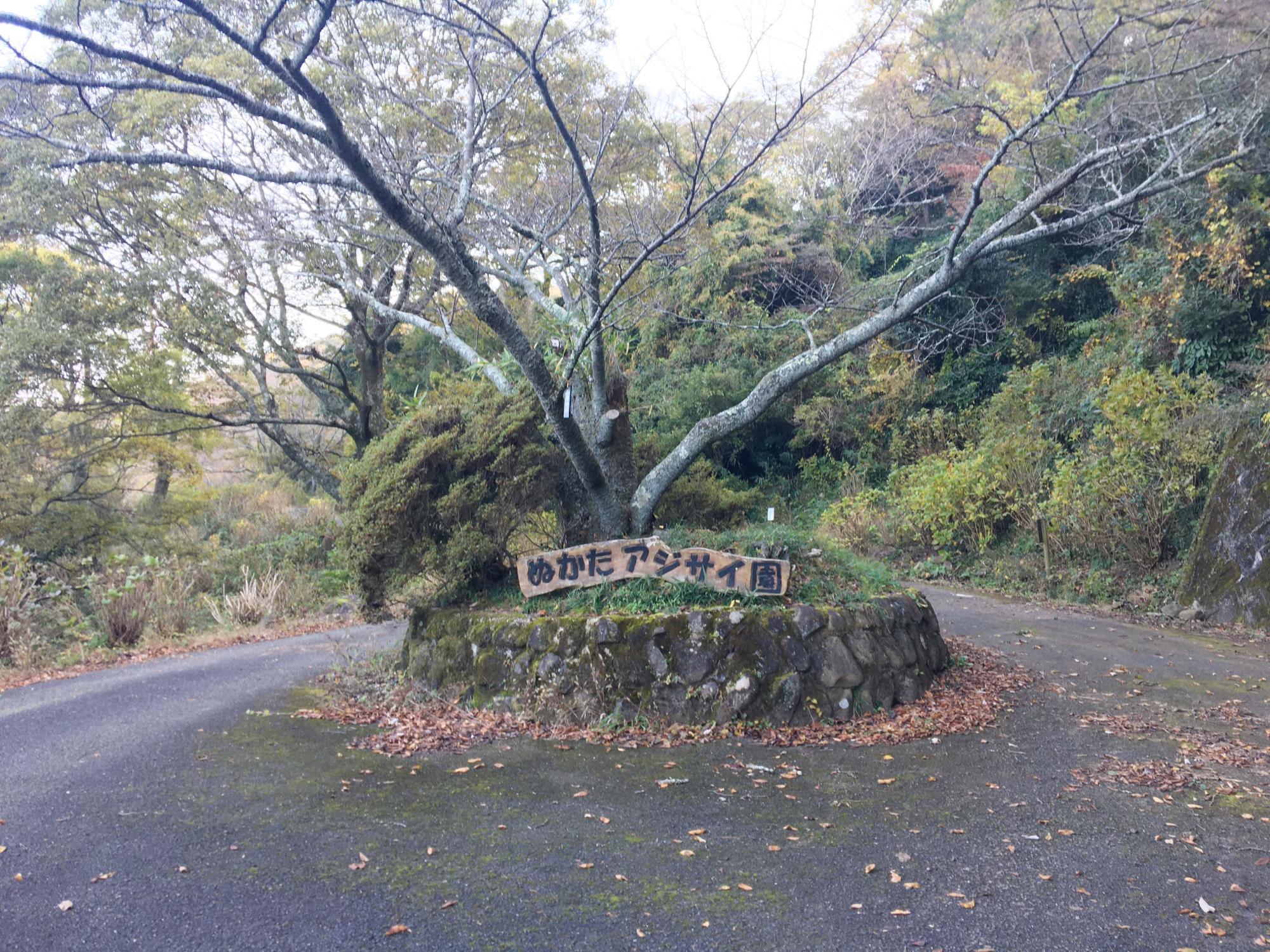 ぬかたアジサイ園