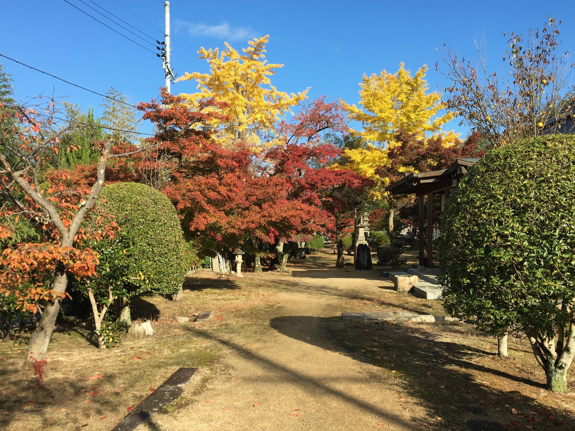 大龍寺