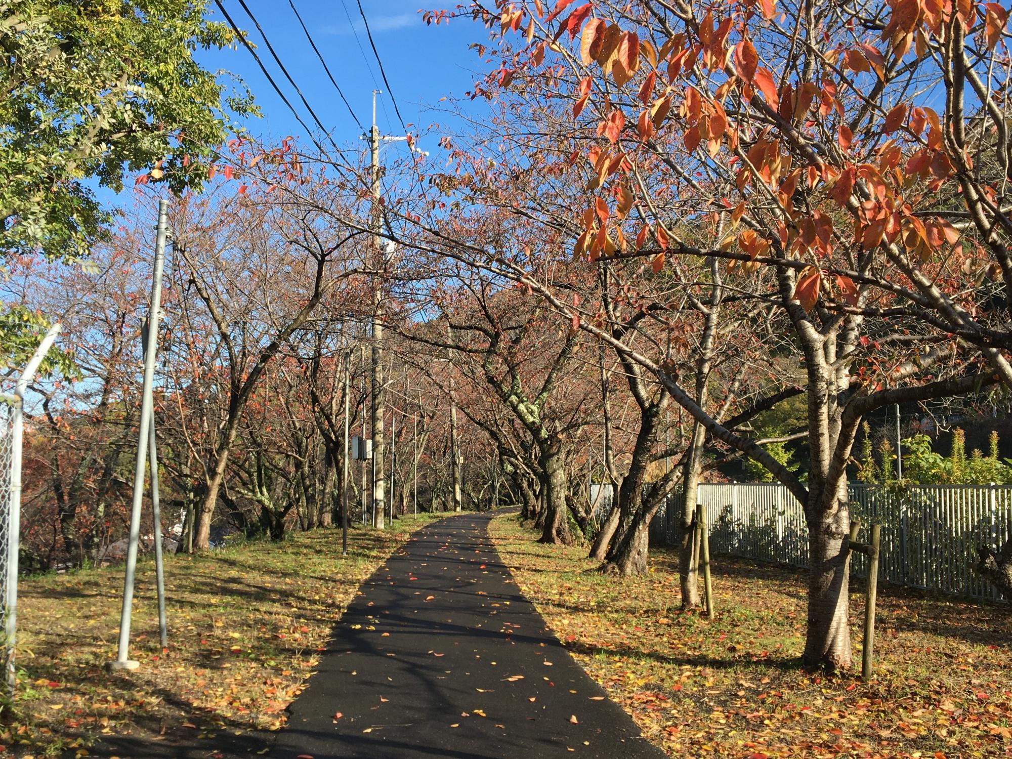 日下新池