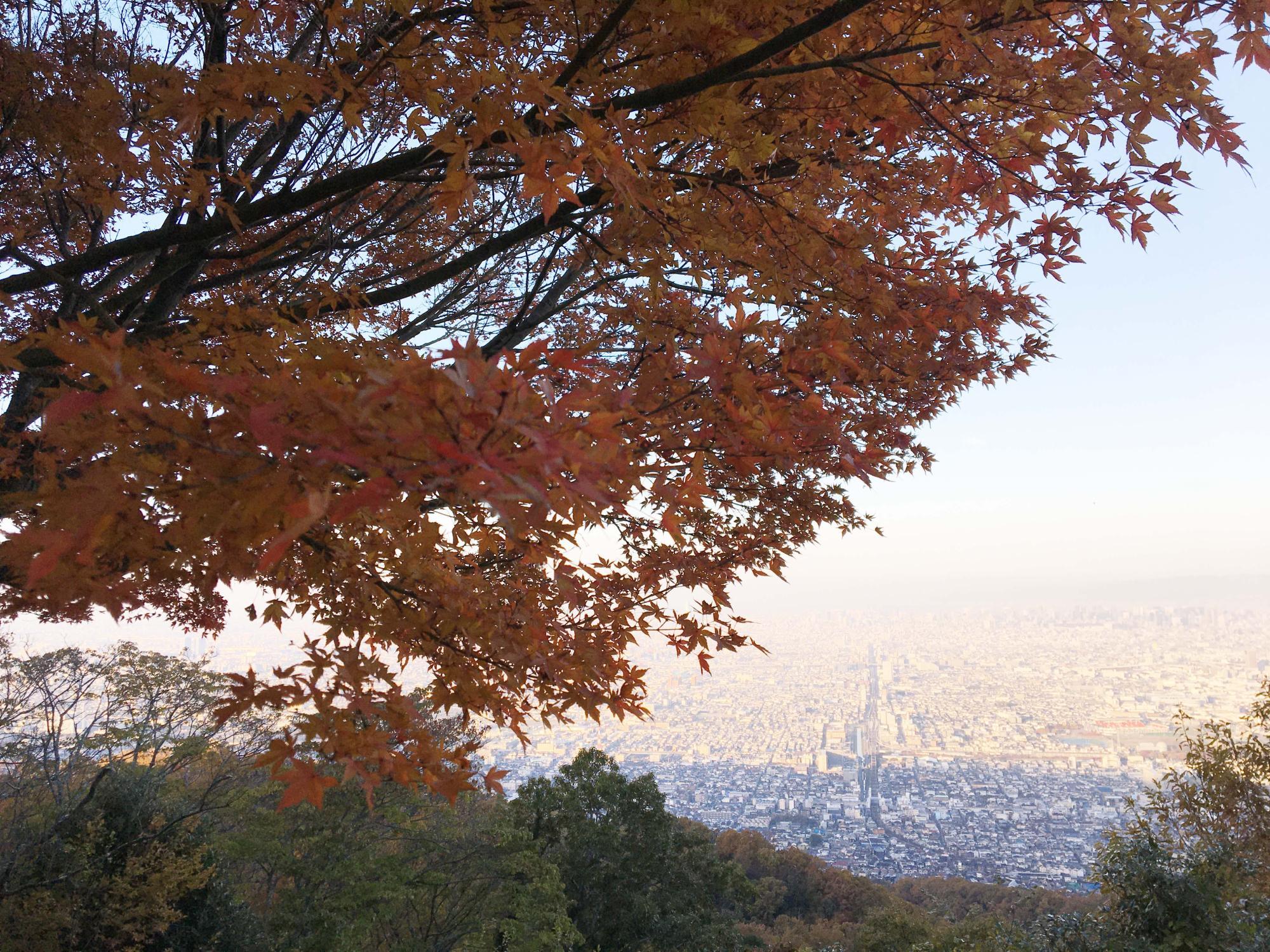 客坊展望台