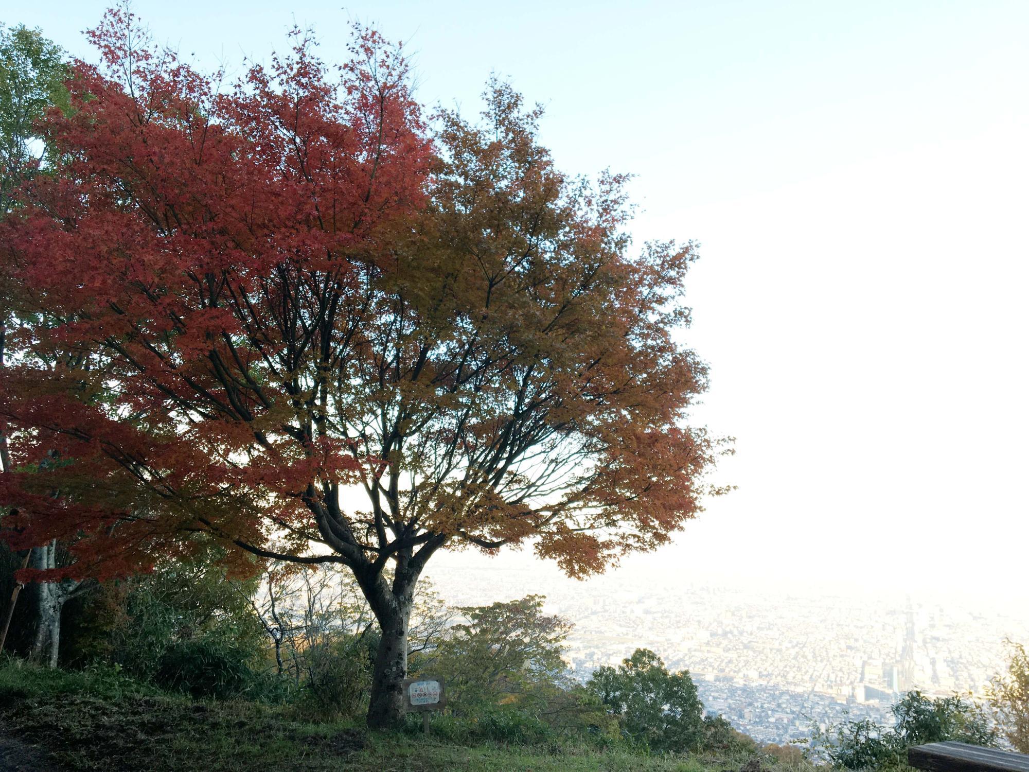 客坊展望台