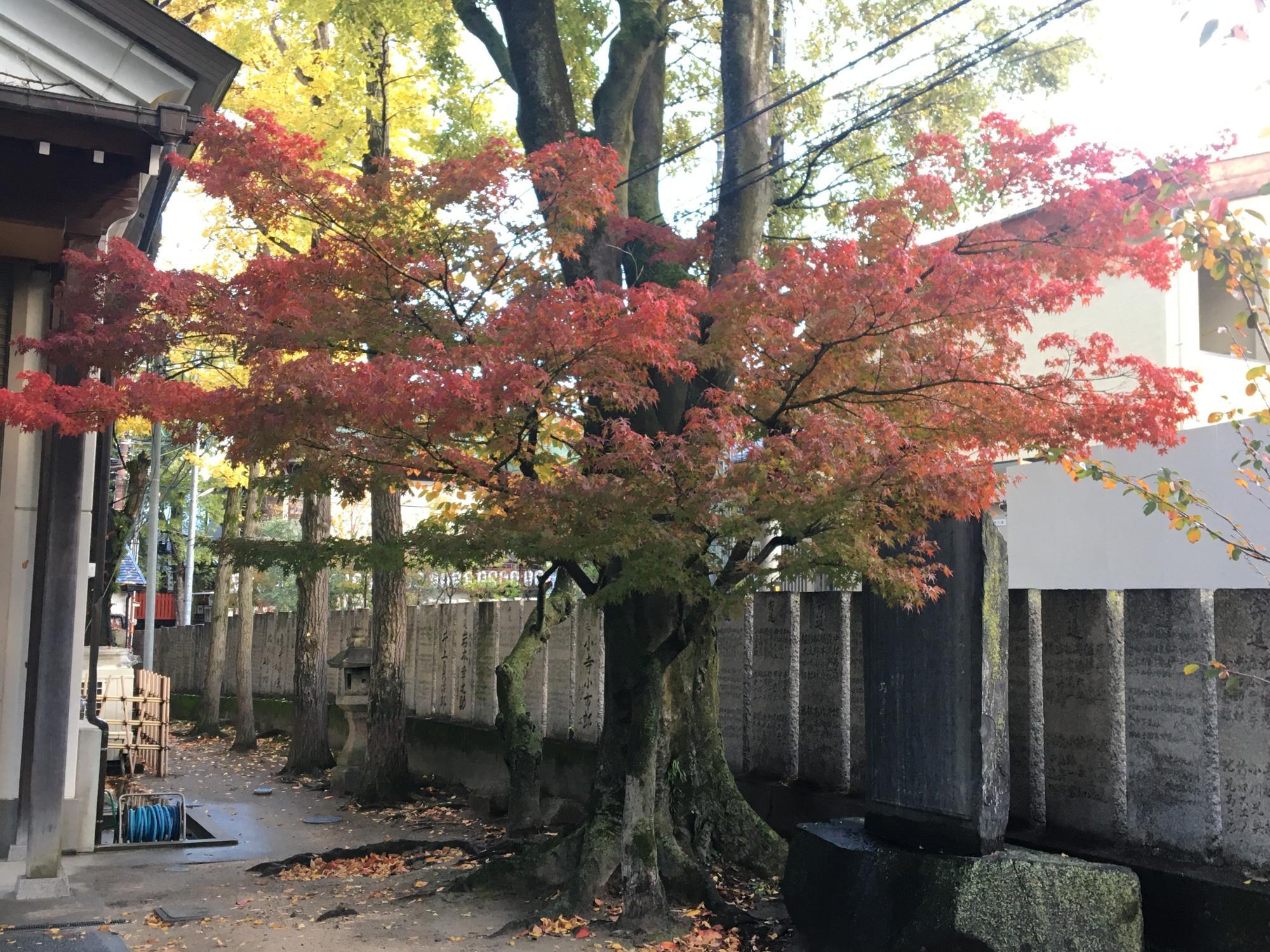 石切神社