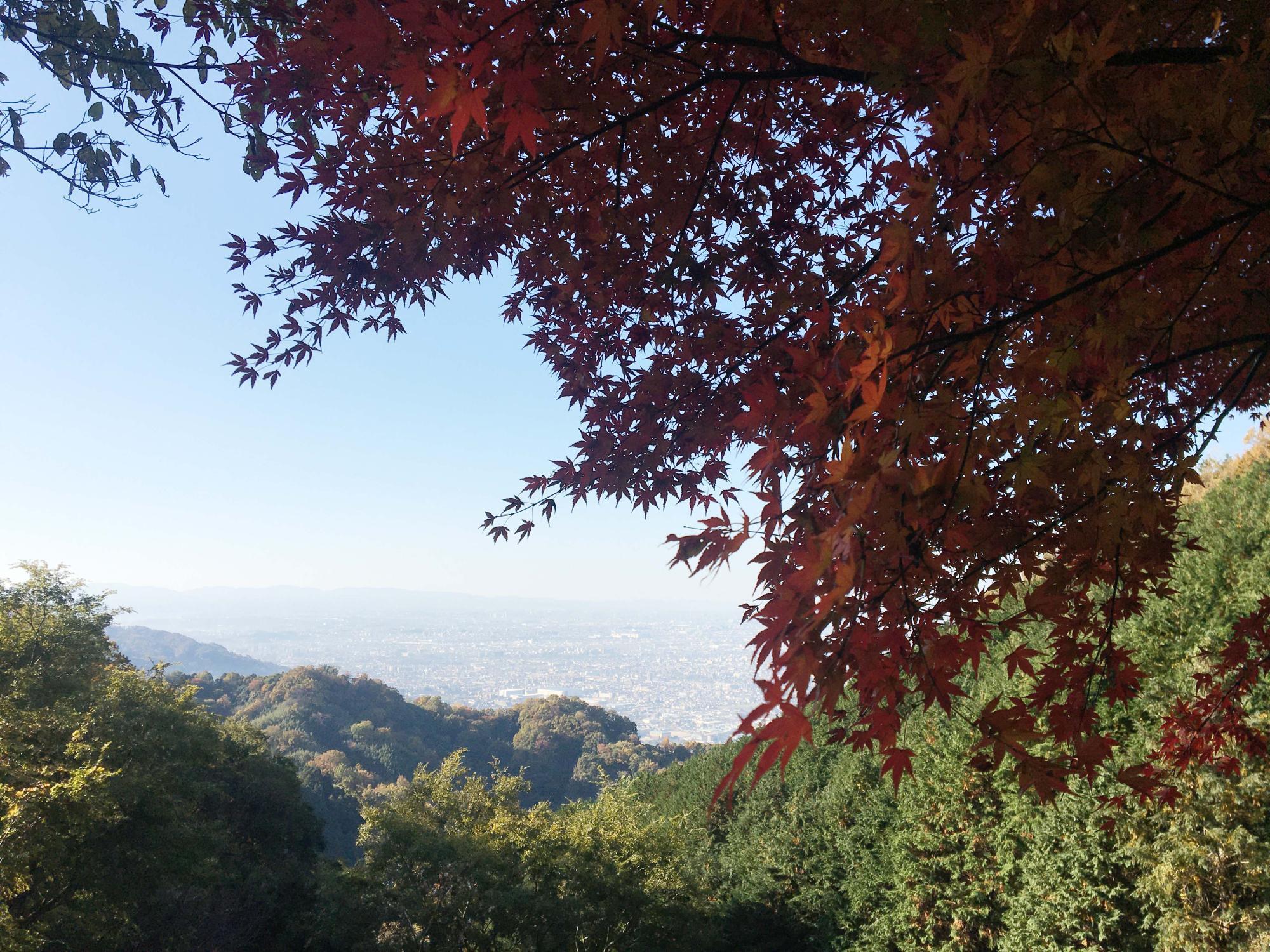 なるかわ園地