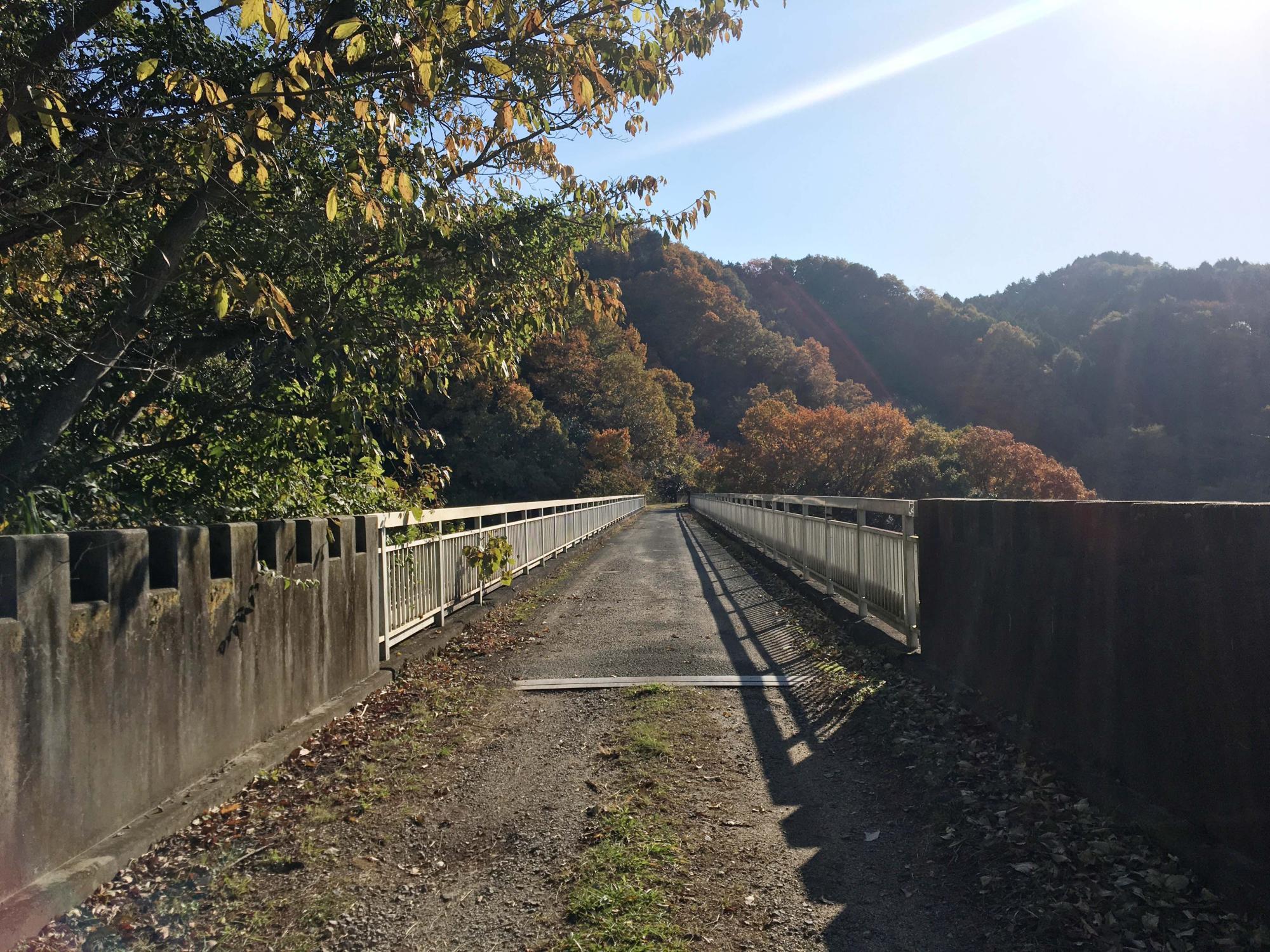 あきぐみの橋