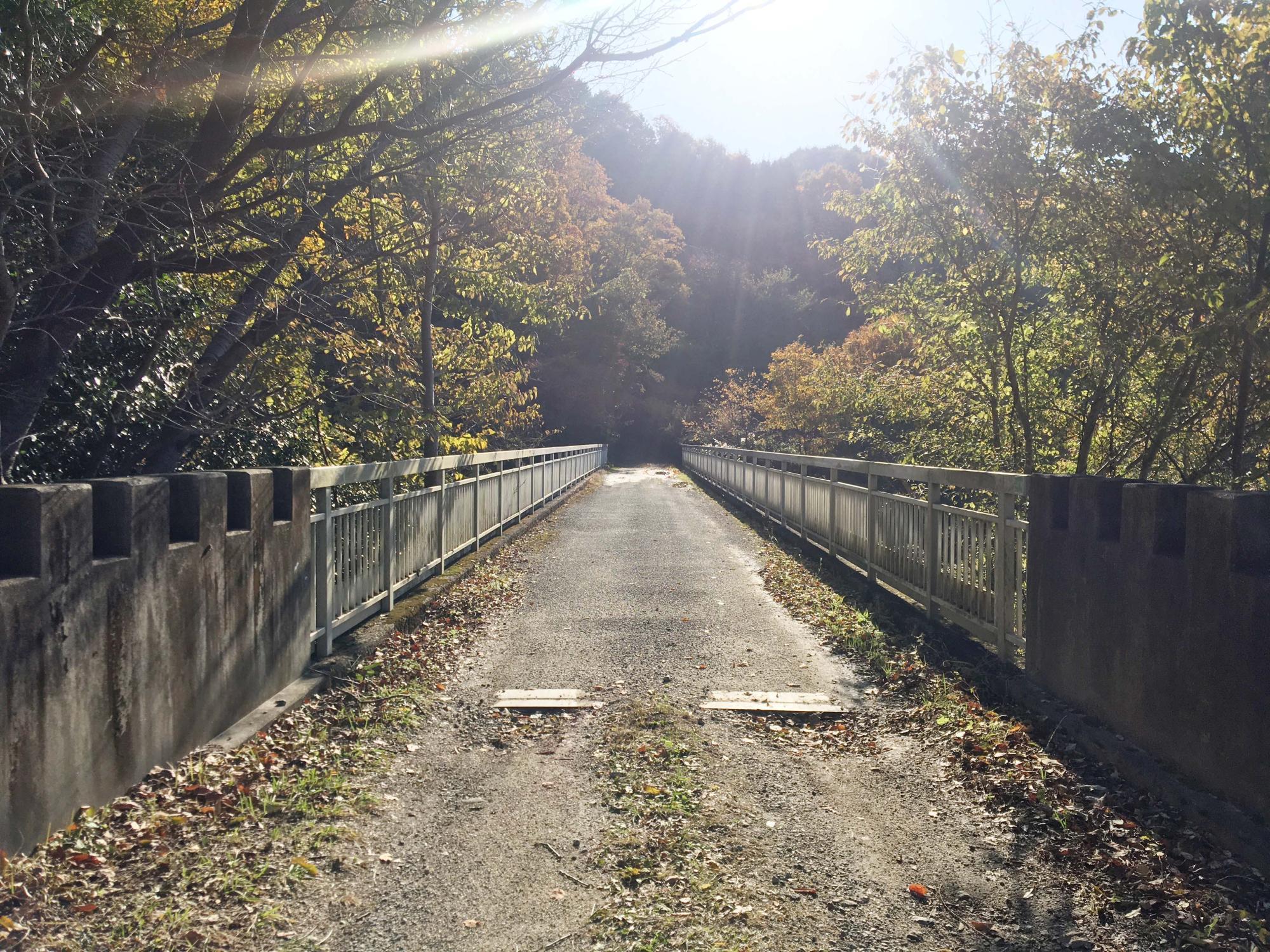 あきぐみの橋