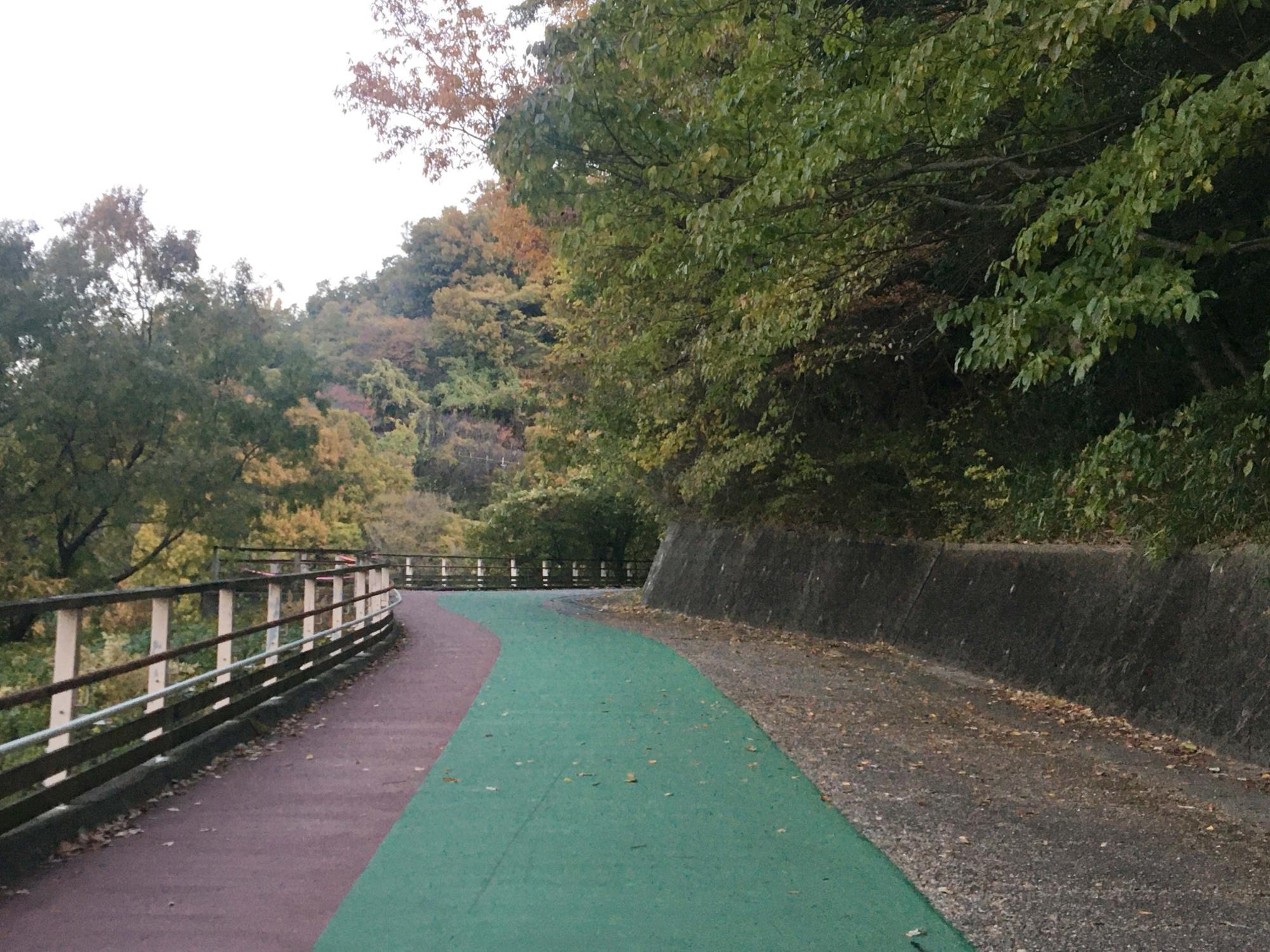 らくらく登山道