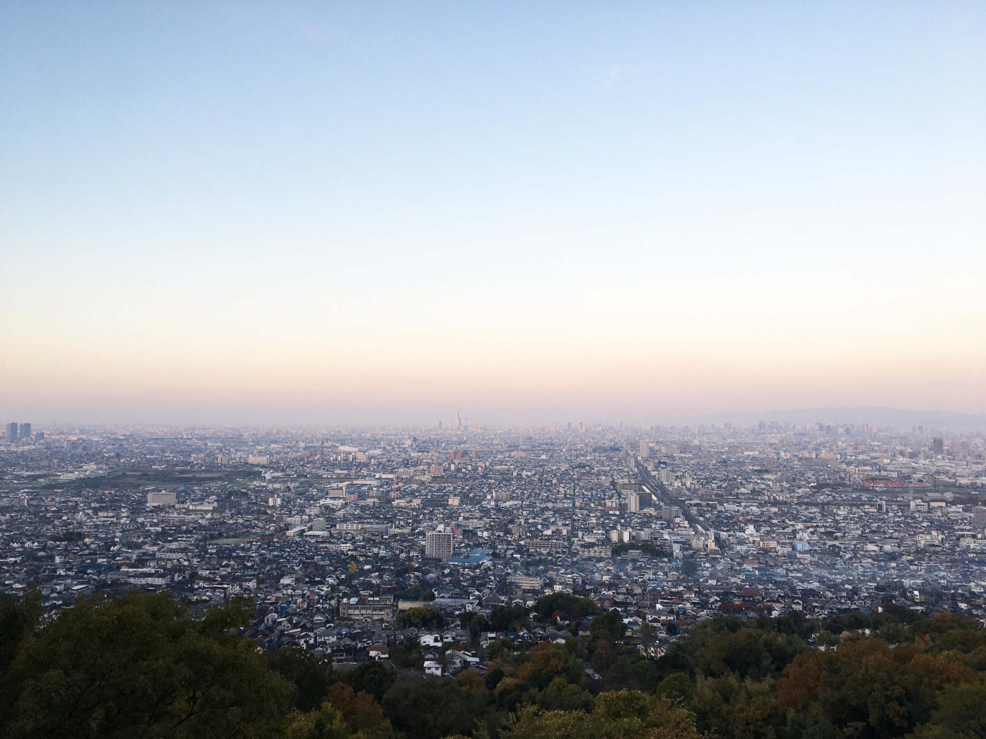 らくらく登山道