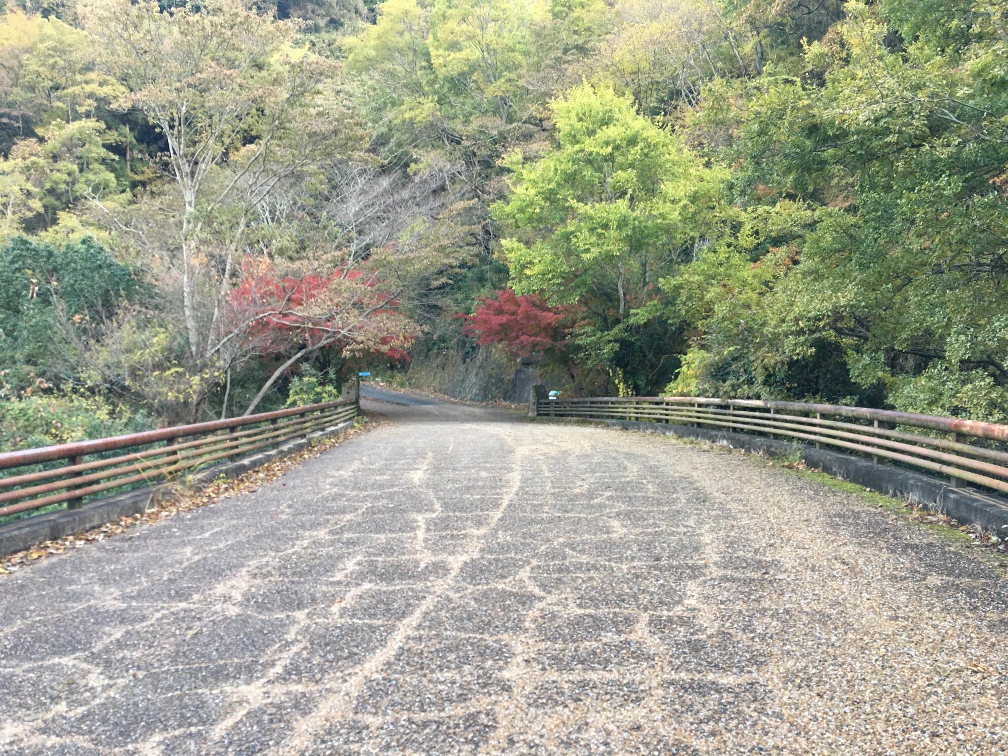 らくらく登山道