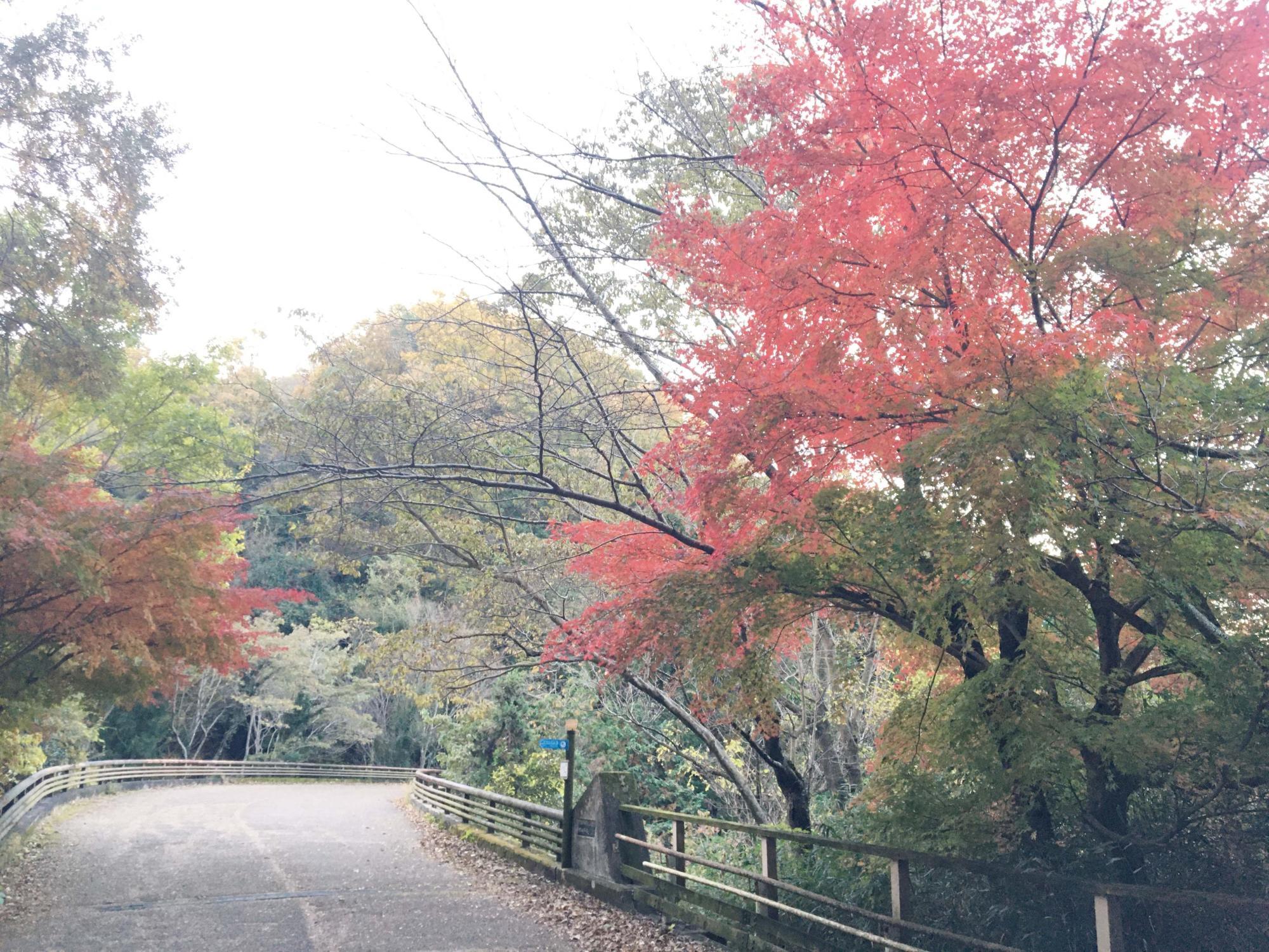 せせらぎ広場