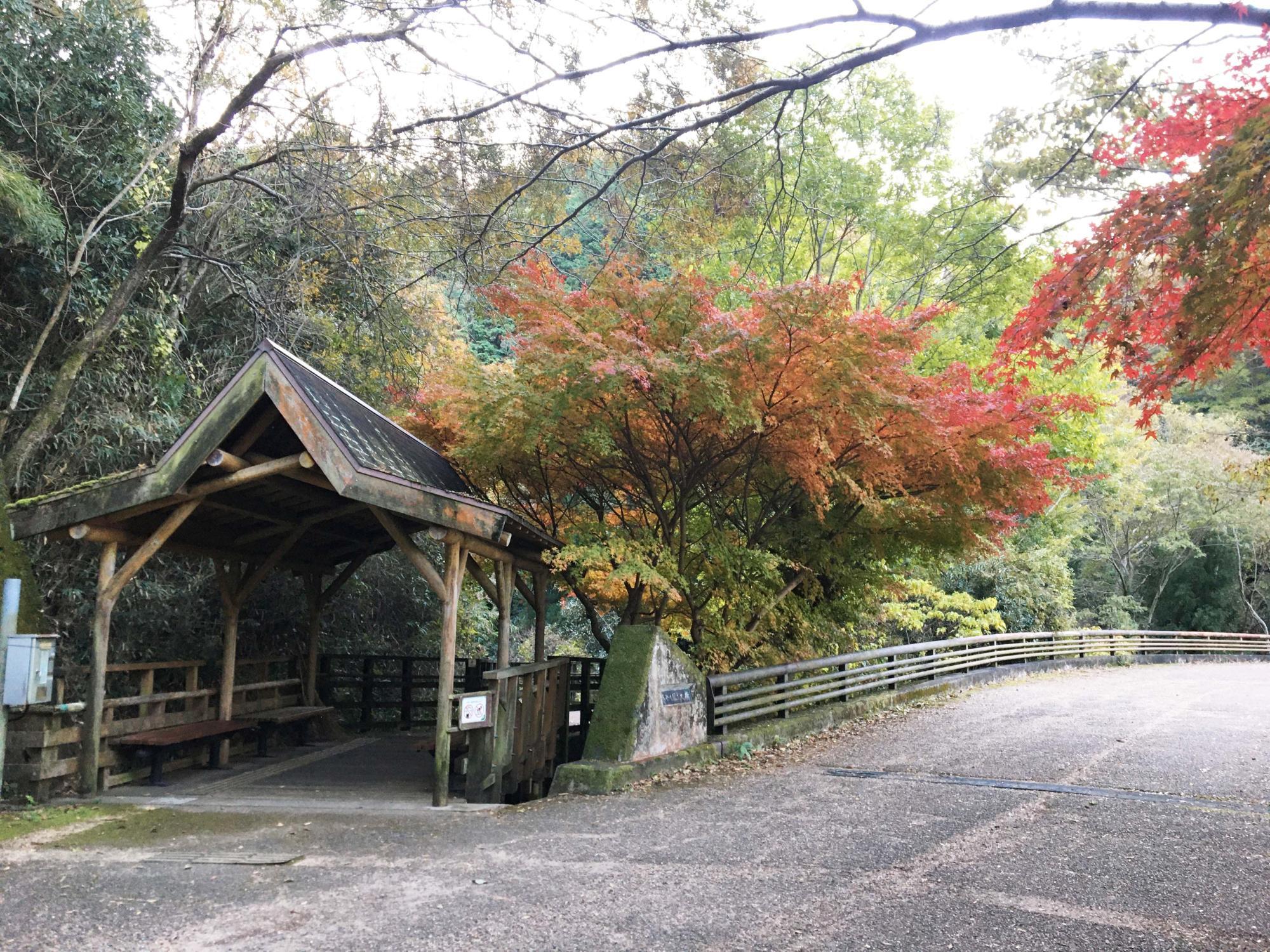 せせらぎ広場