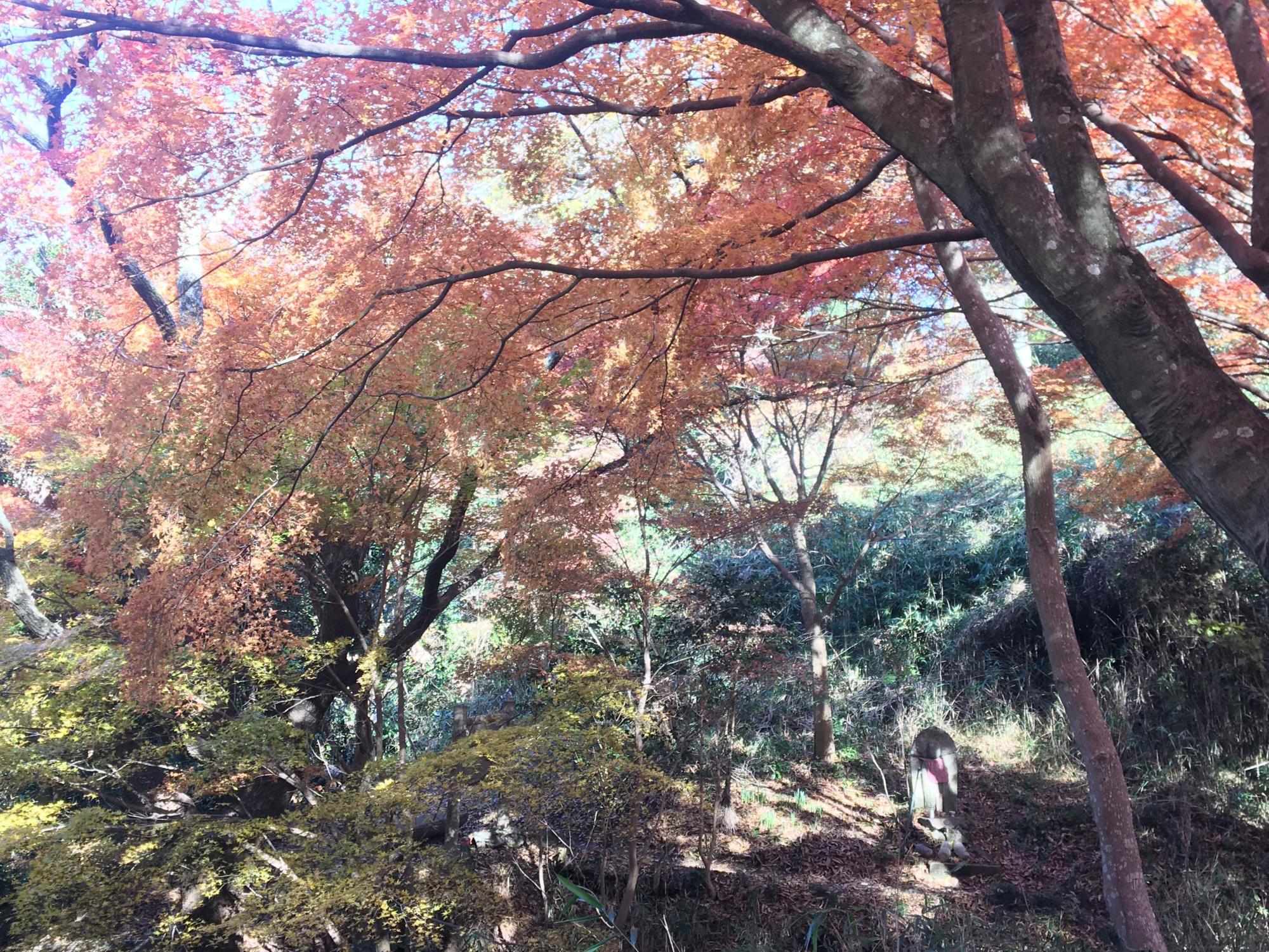 鳴川峠