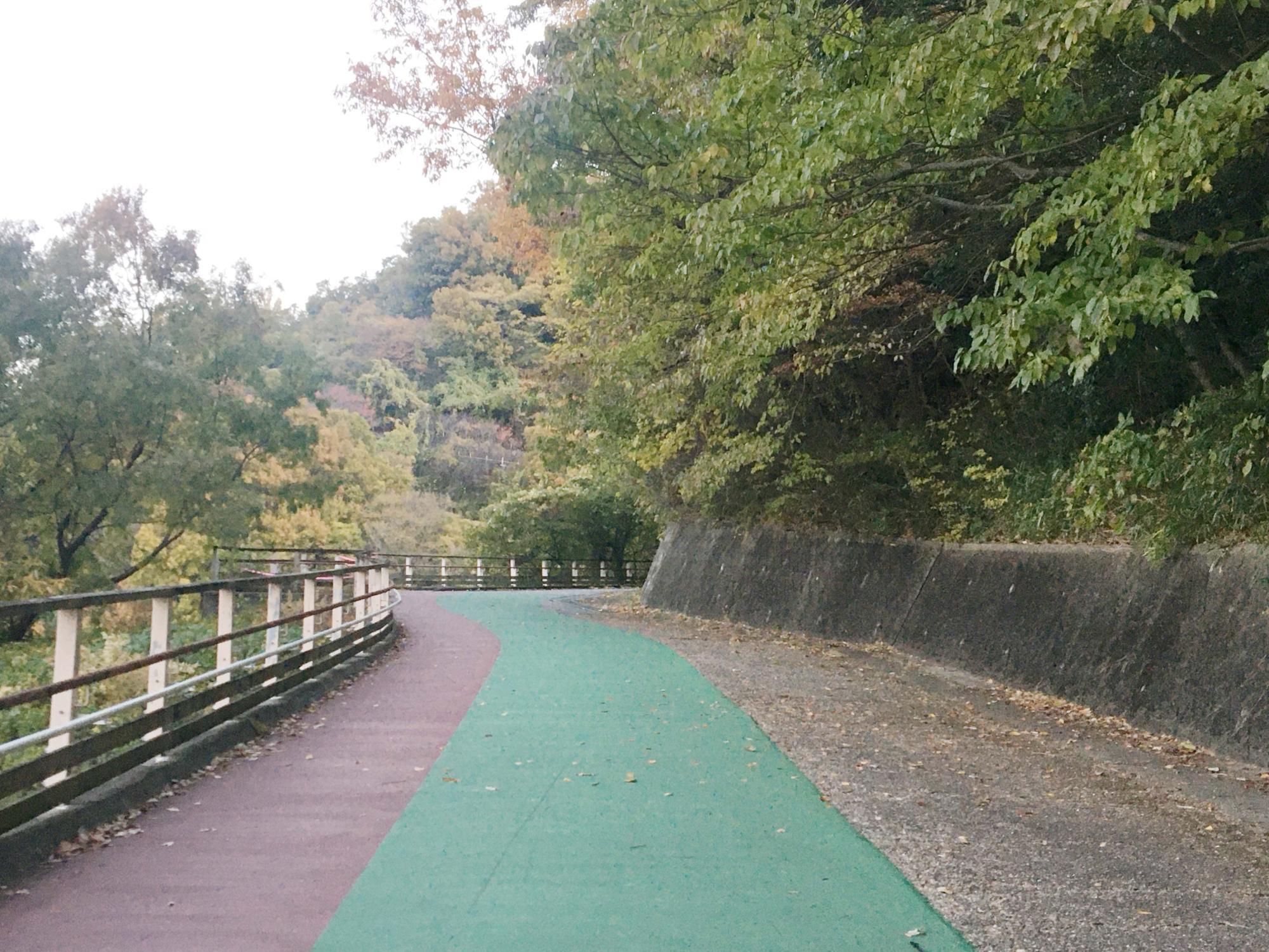 らくらく登山道