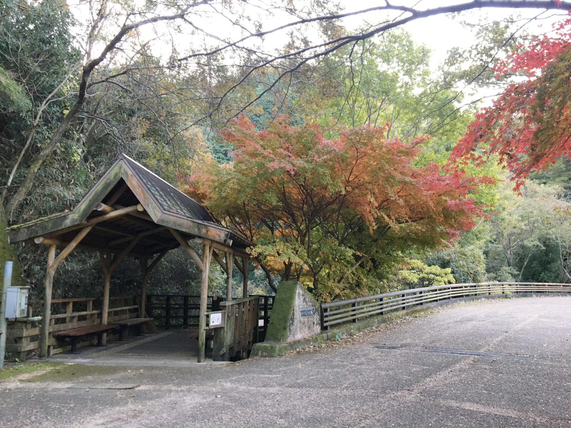 らくらく登山道