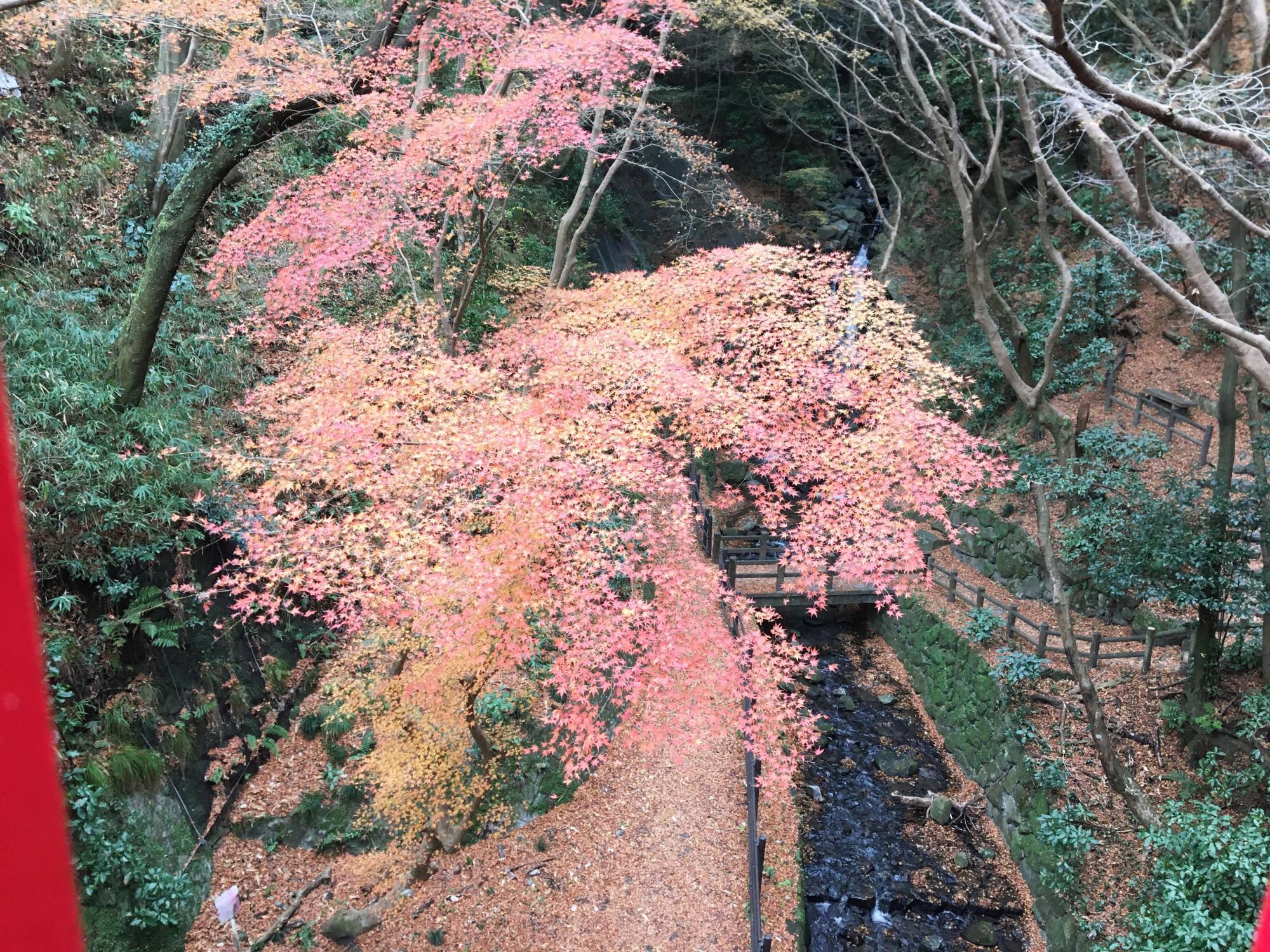 豊浦橋