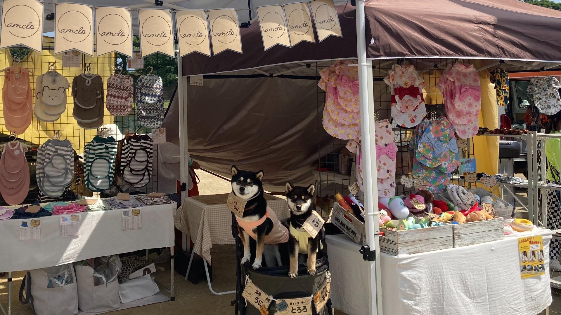 岡崎市】今年はさらにパワーアップ！5月17日(土)・18日(日)は