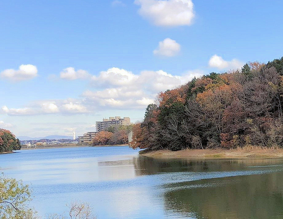 河内長野市にある寺ヶ池公園からもうっすら見えます